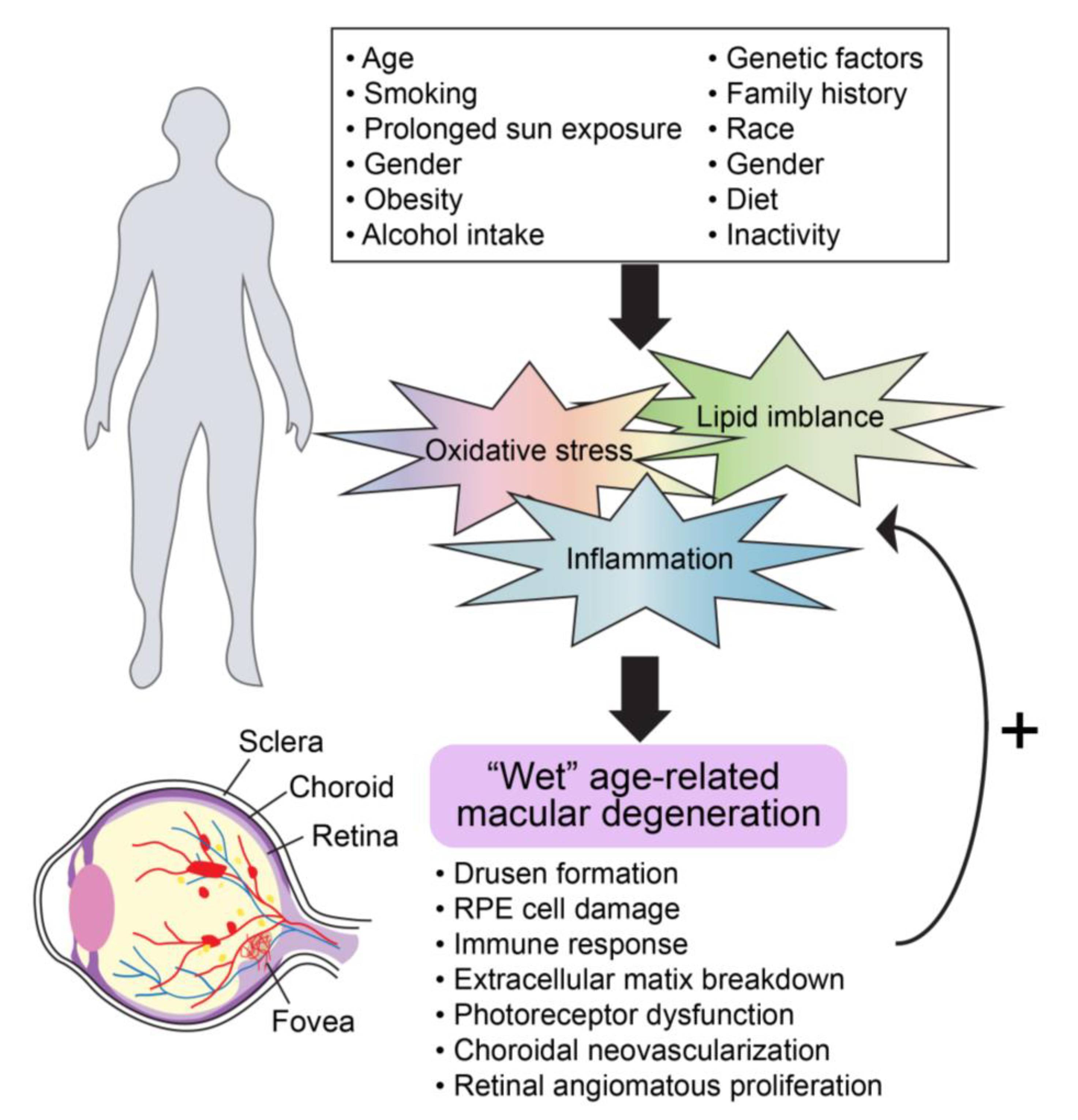 Ijms 21 02889 g002 Ijms 21 02889 g002