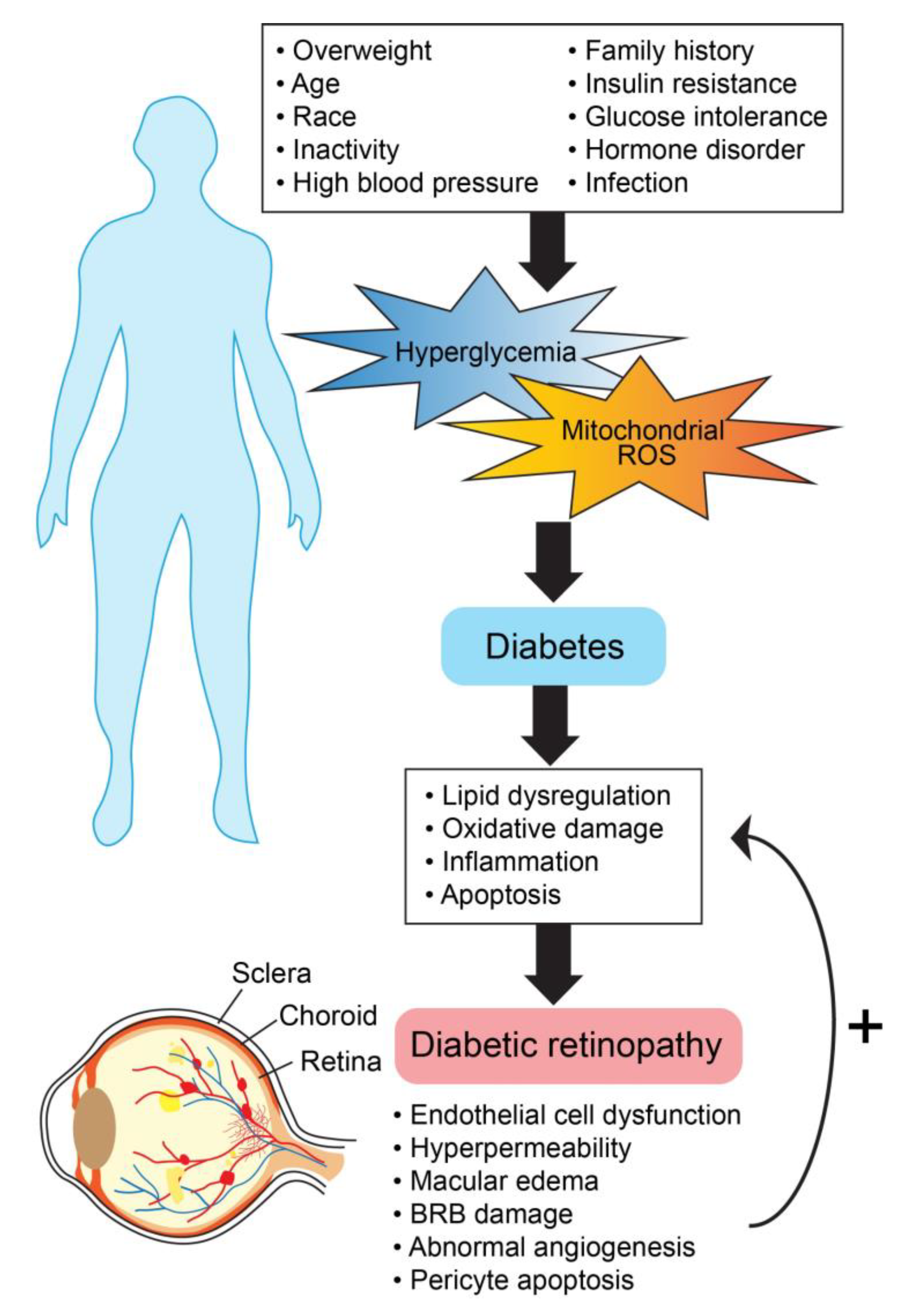 Ijms 21 02889 g004 Ijms 21 02889 g004