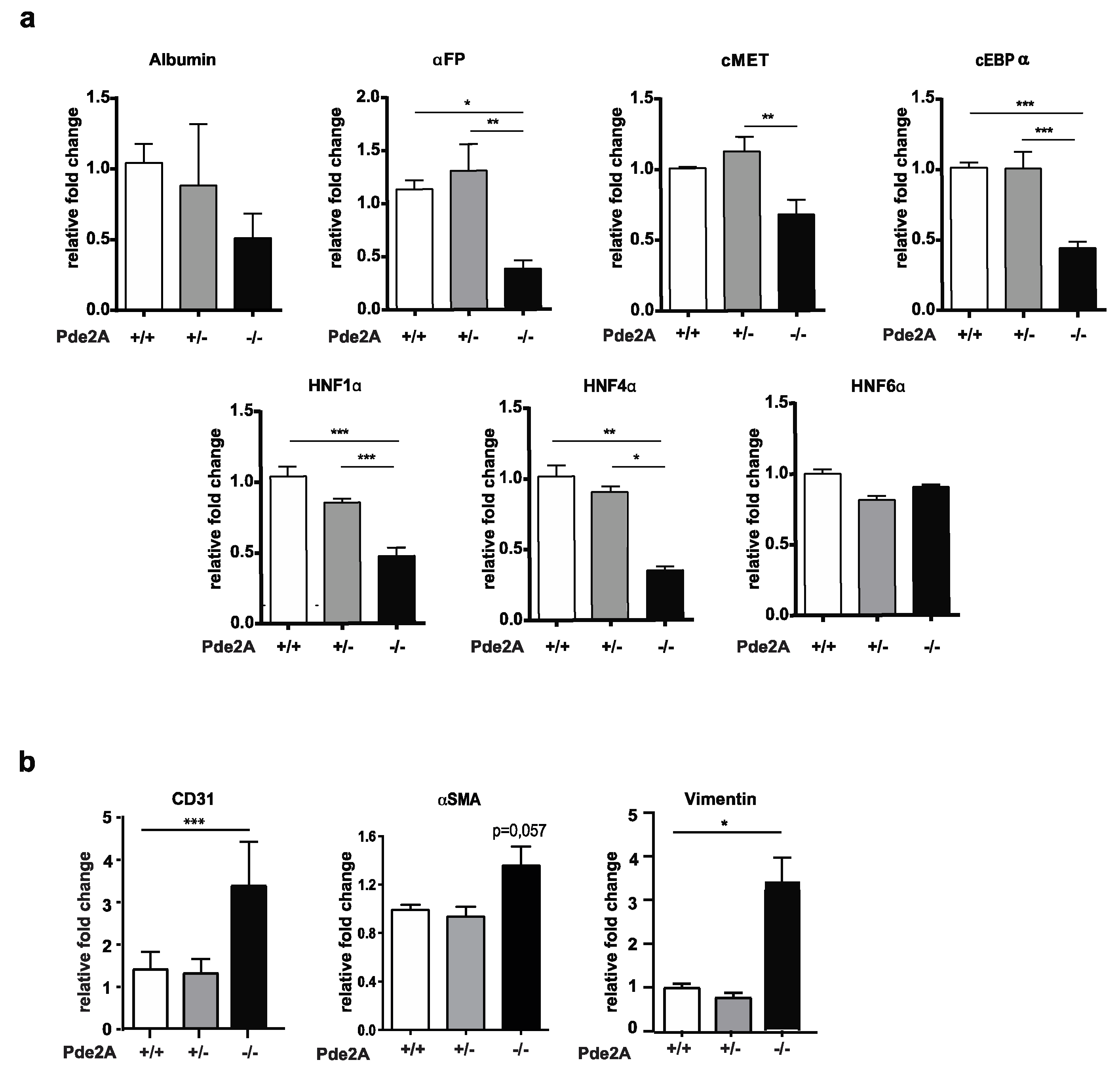 Ijms 21 02902 g002 Ijms 21 02902 g002
