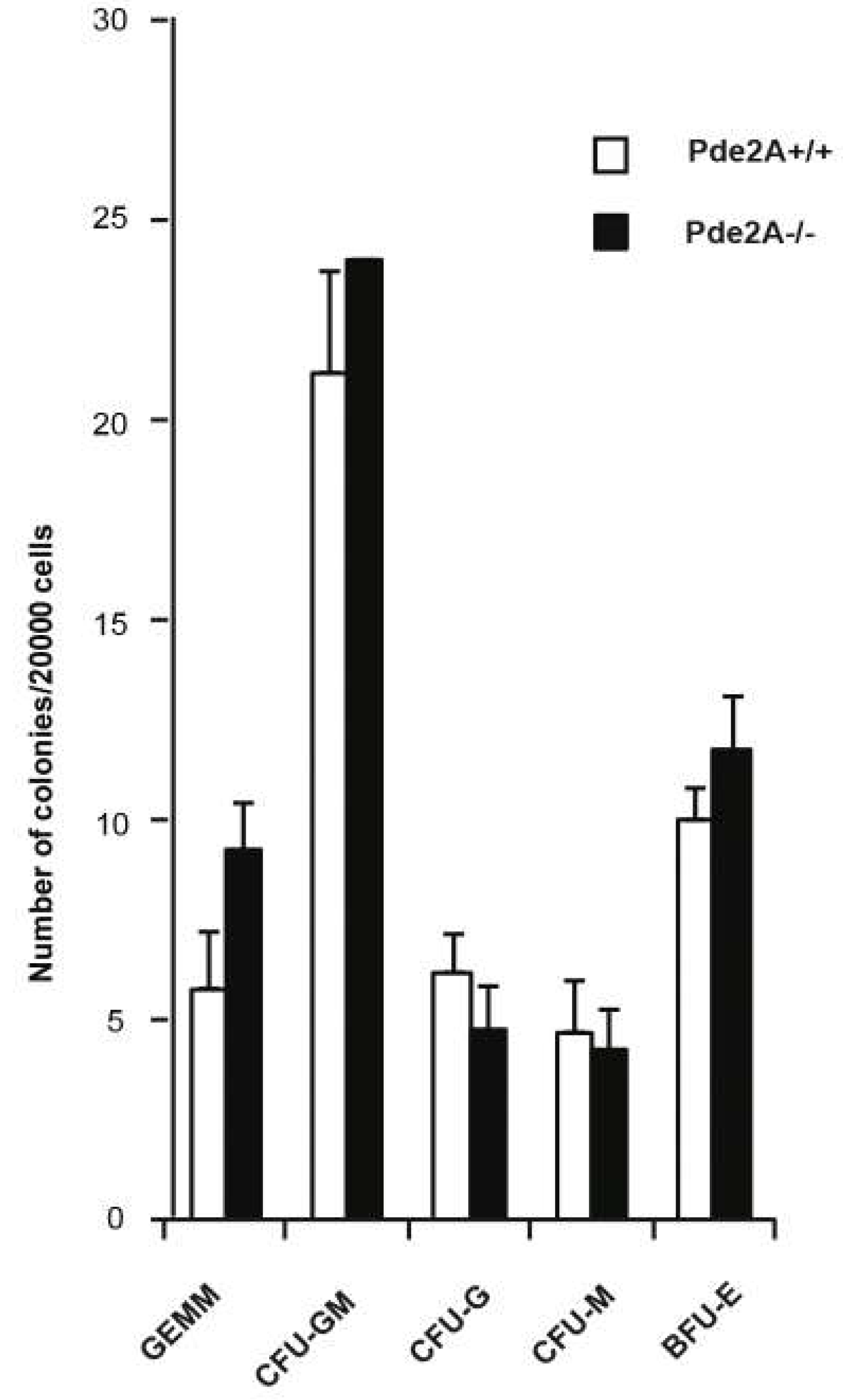 Ijms 21 02902 g006 Ijms 21 02902 g006