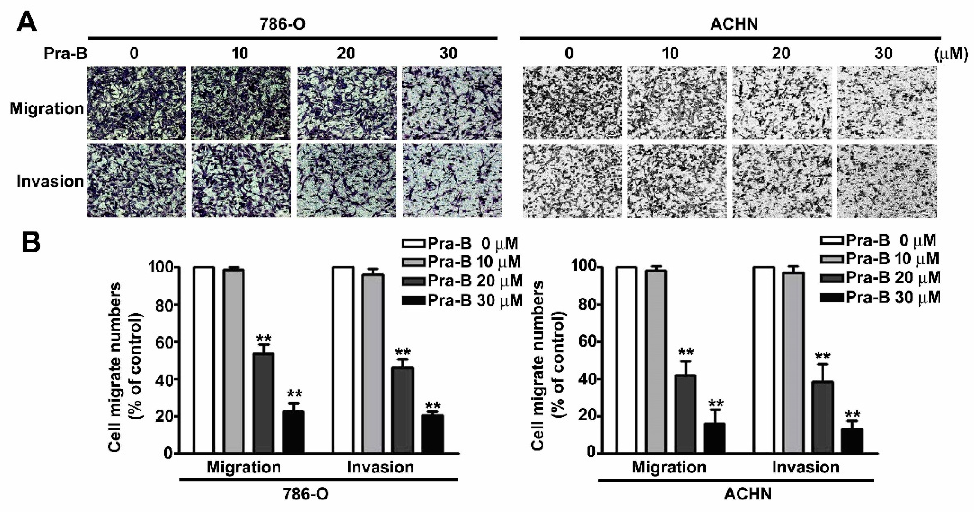 Ijms 21 02919 g002 Ijms 21 02919 g002