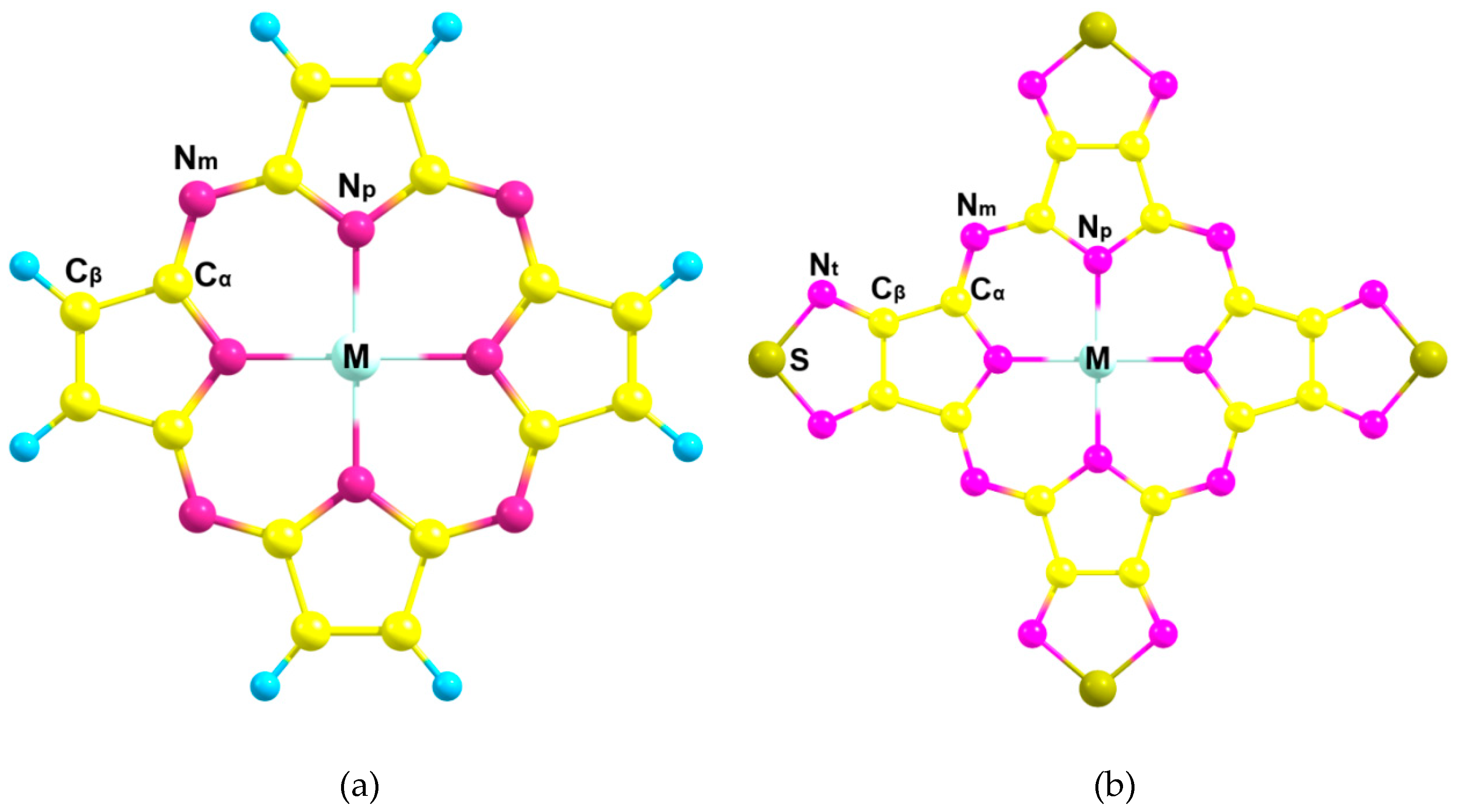 Ijms 21 02923 g001 Ijms 21 02923 g001