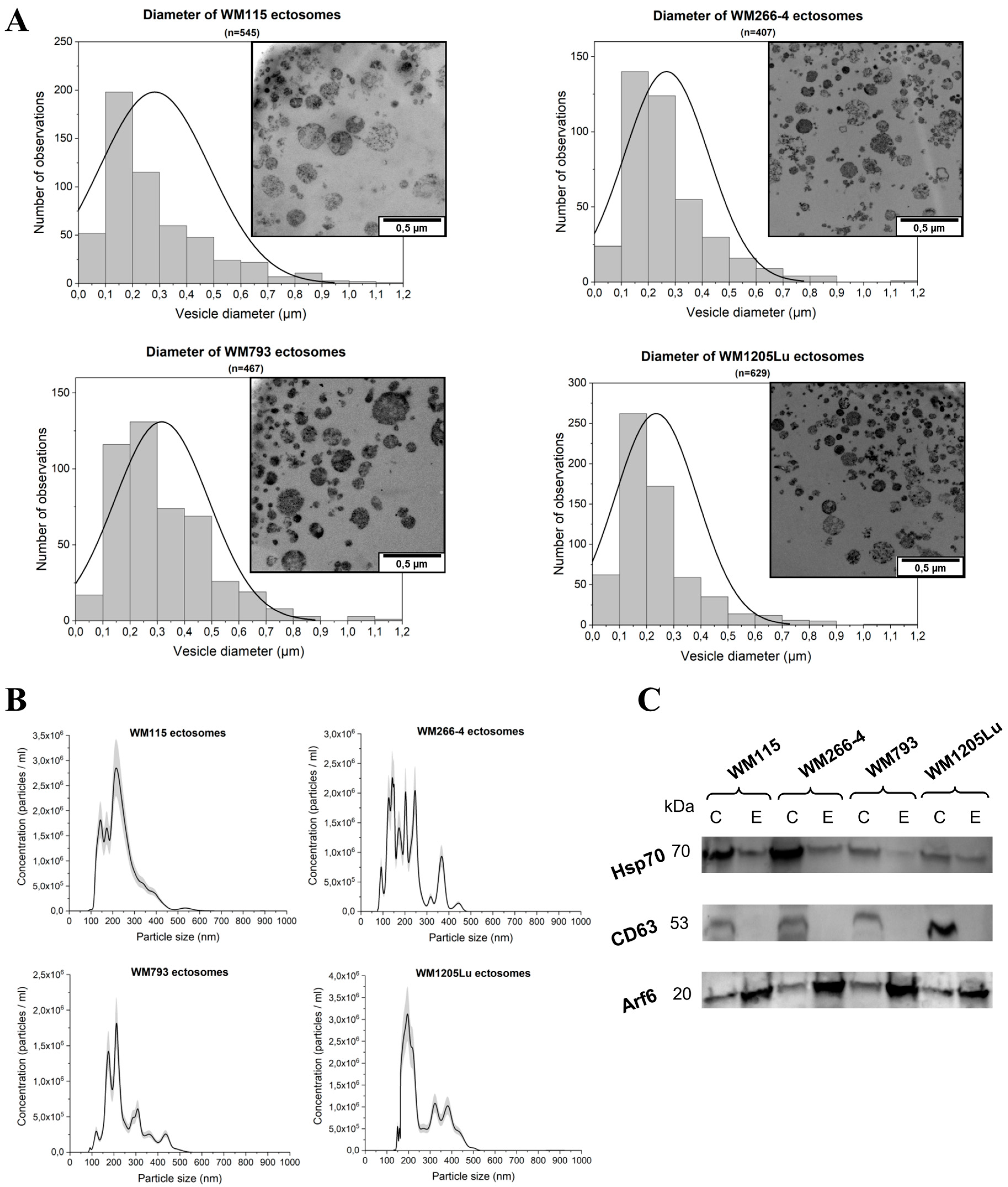 Ijms 21 02934 g001 Ijms 21 02934 g001