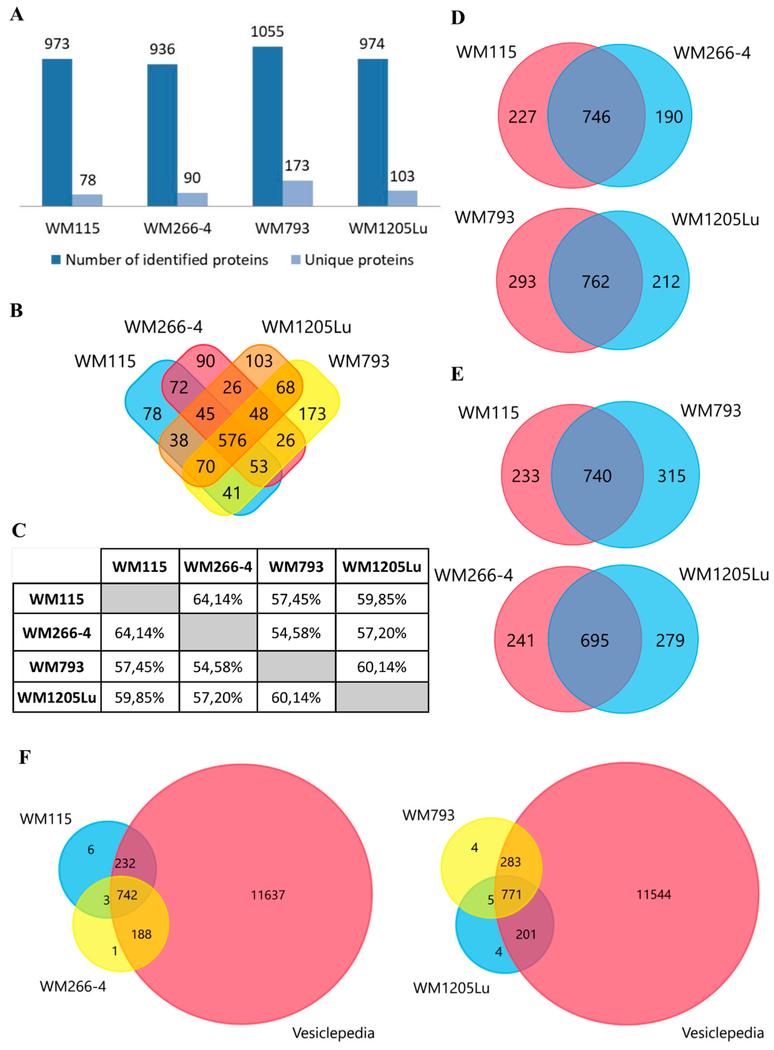 Ijms 21 02934 g002 Ijms 21 02934 g002
