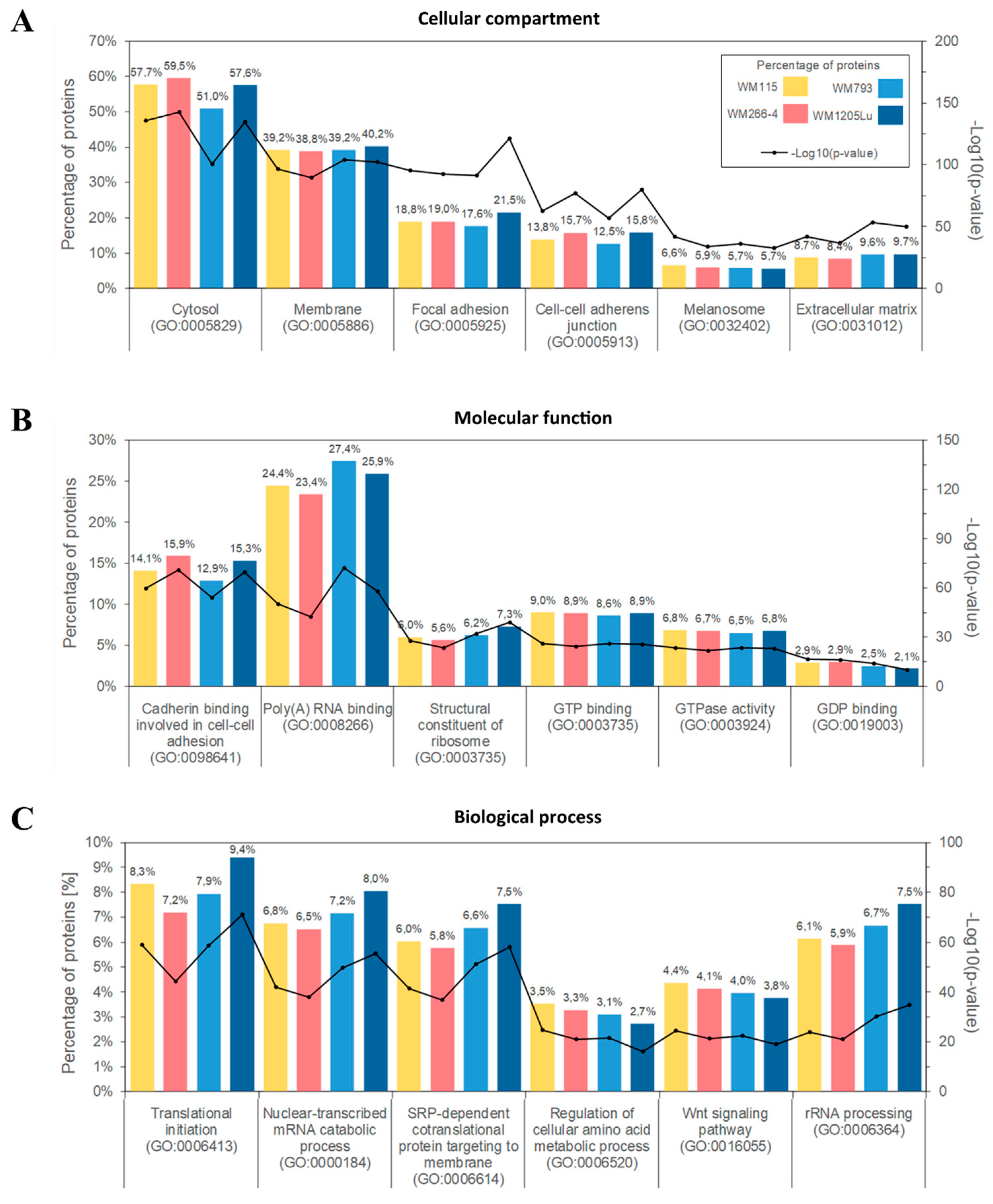 Ijms 21 02934 g003 Ijms 21 02934 g003