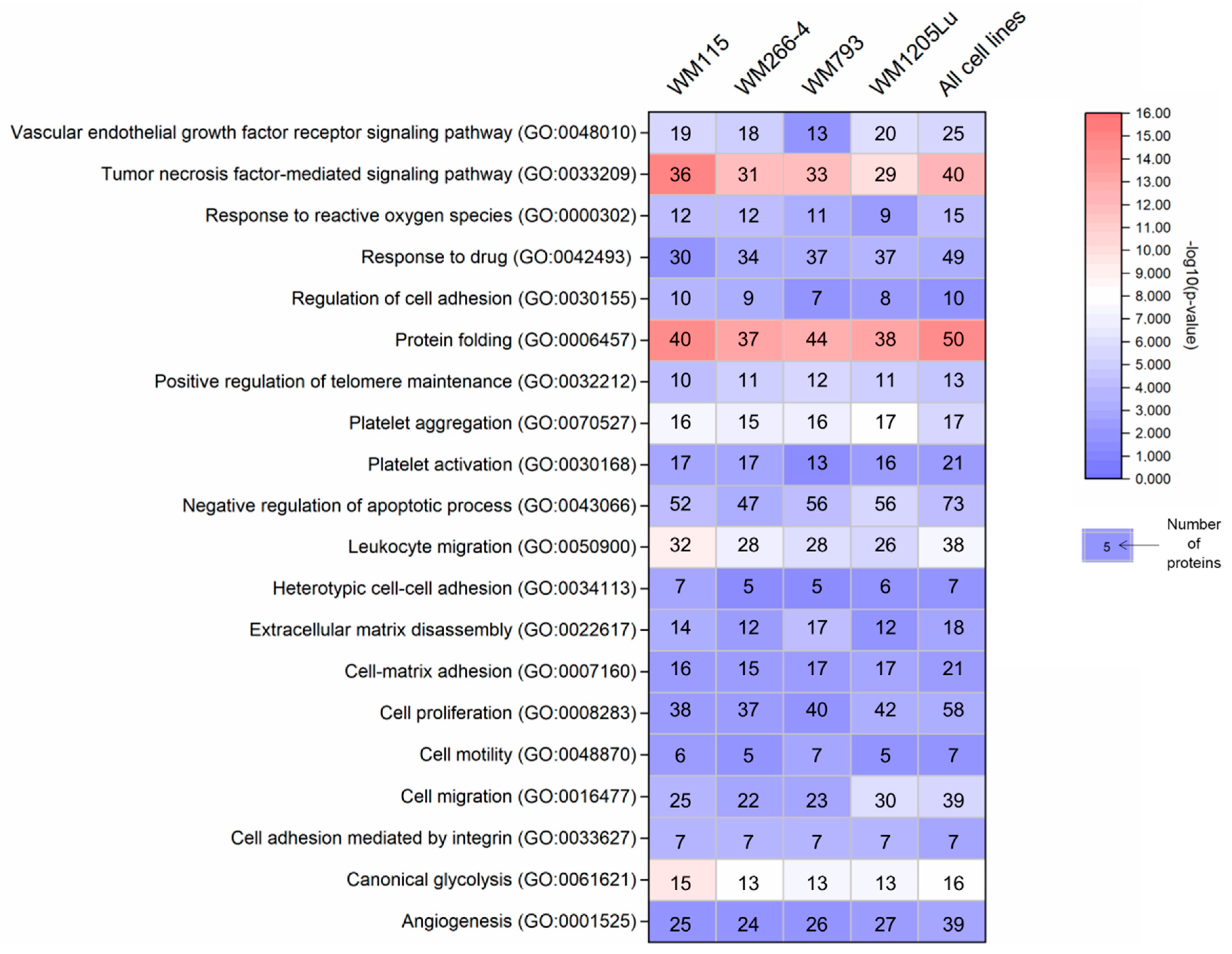 Ijms 21 02934 g004 Ijms 21 02934 g004