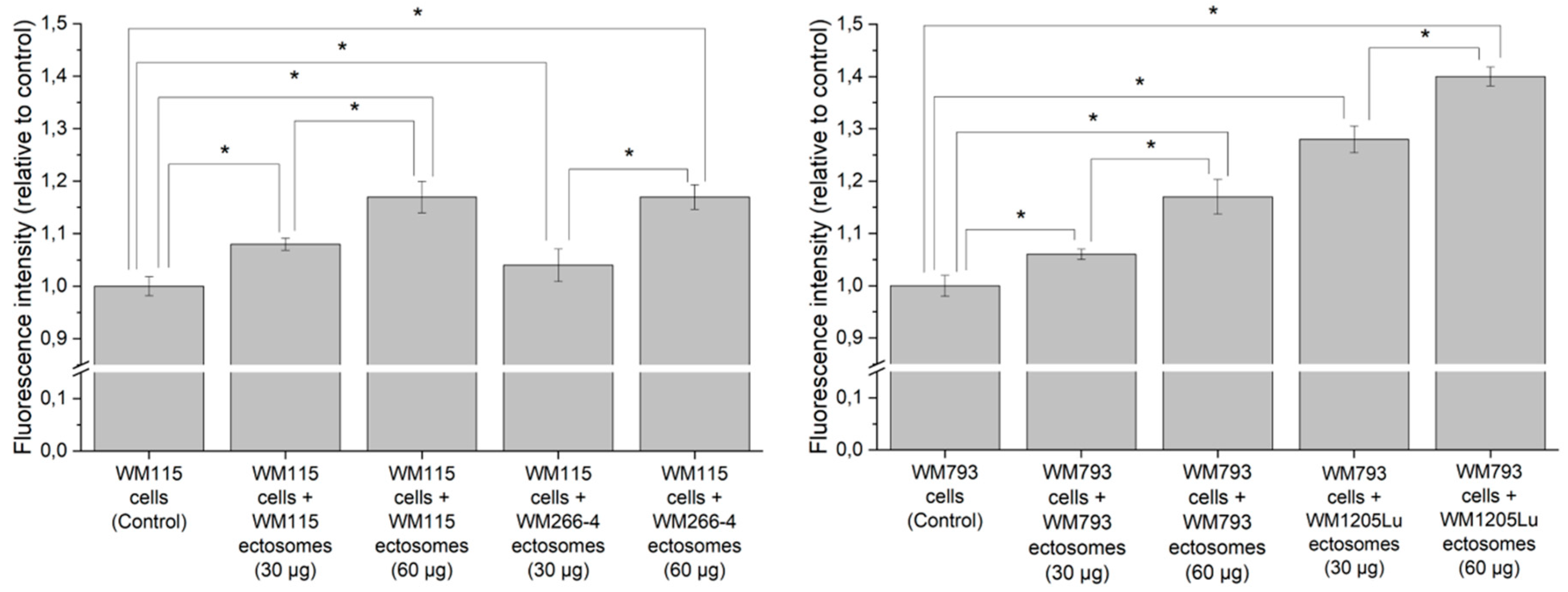 Ijms 21 02934 g007 Ijms 21 02934 g007