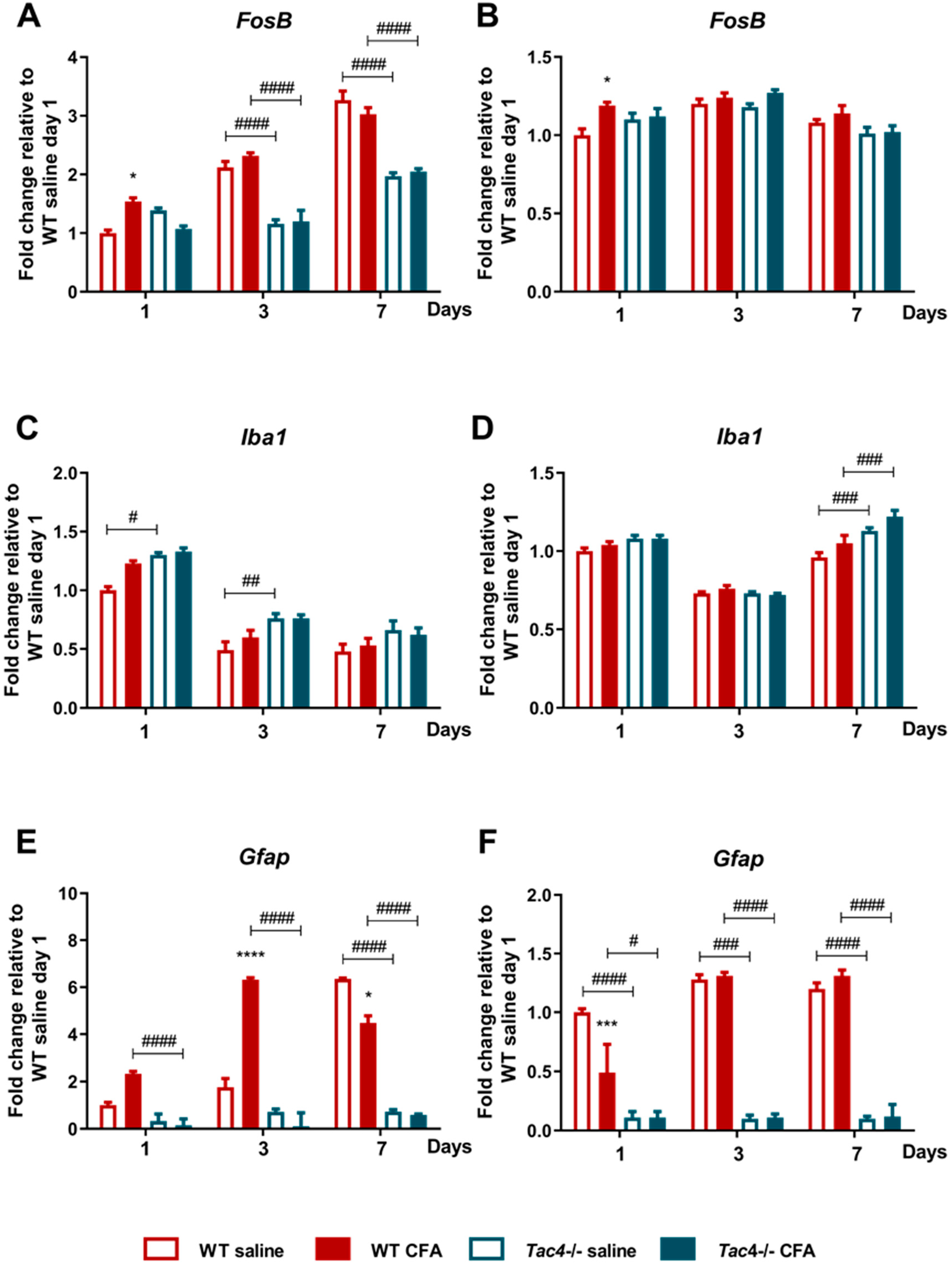 Ijms 21 02938 g004 Ijms 21 02938 g004