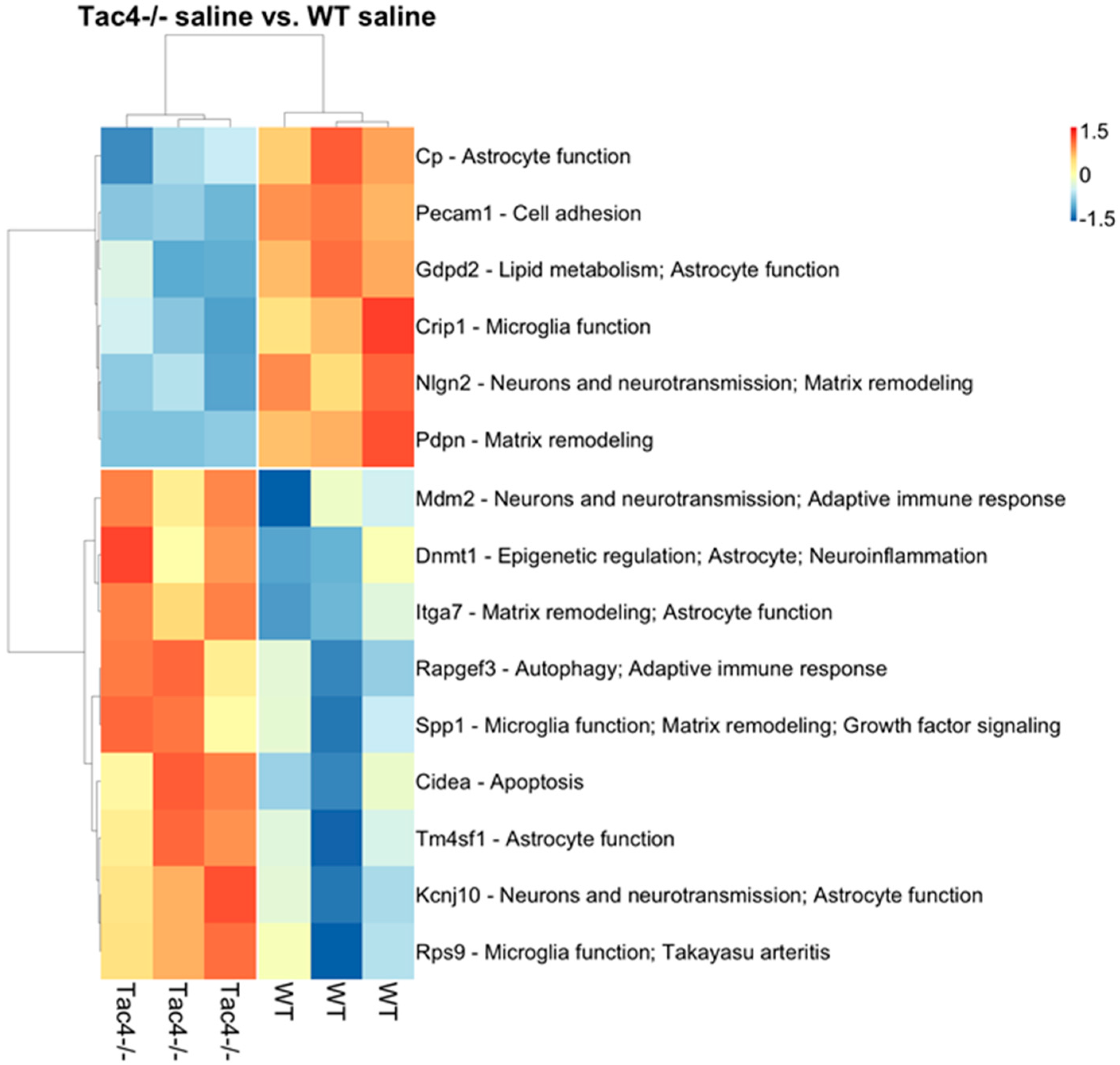 Ijms 21 02938 g005 Ijms 21 02938 g005