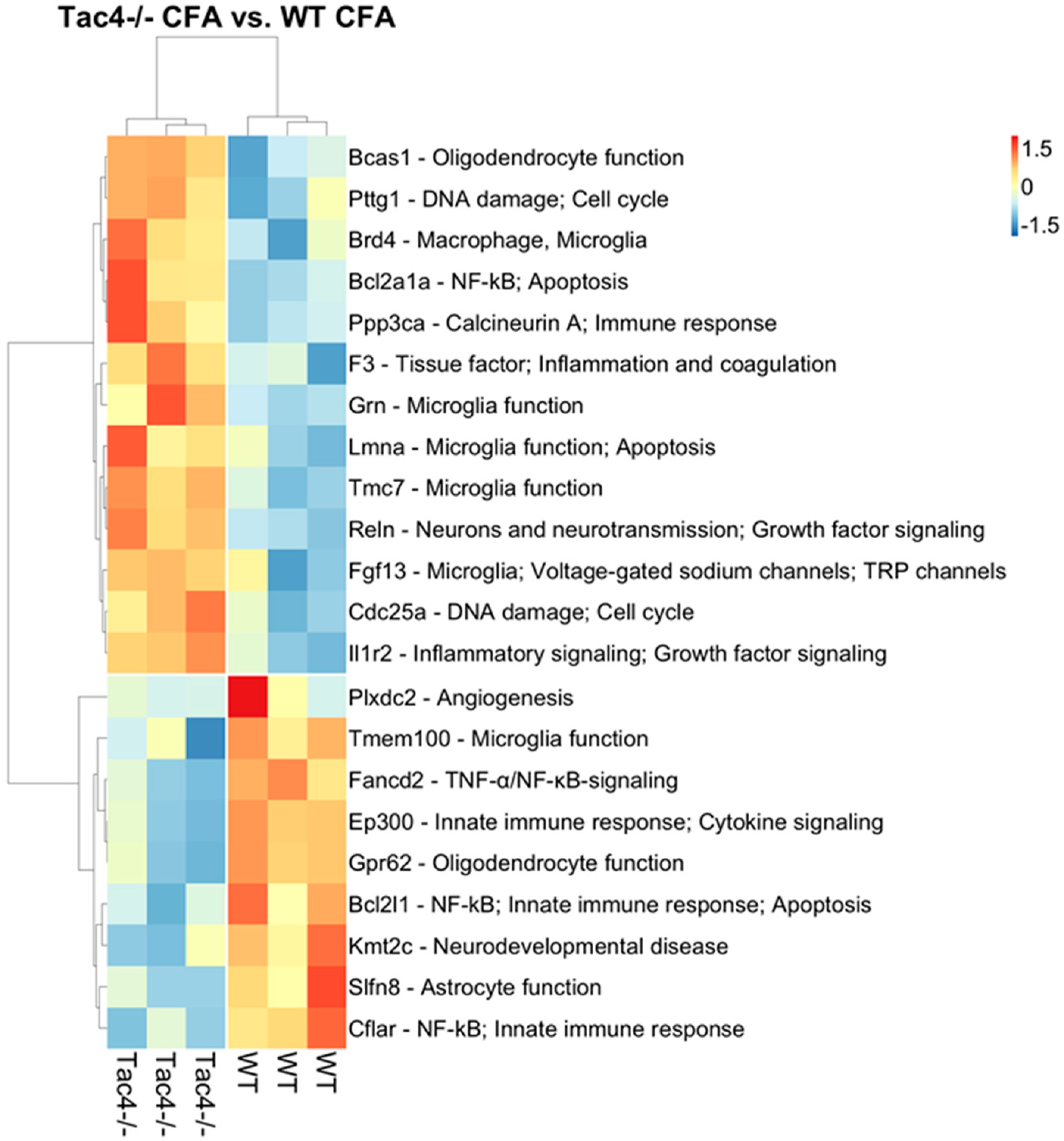 Ijms 21 02938 g007 Ijms 21 02938 g007