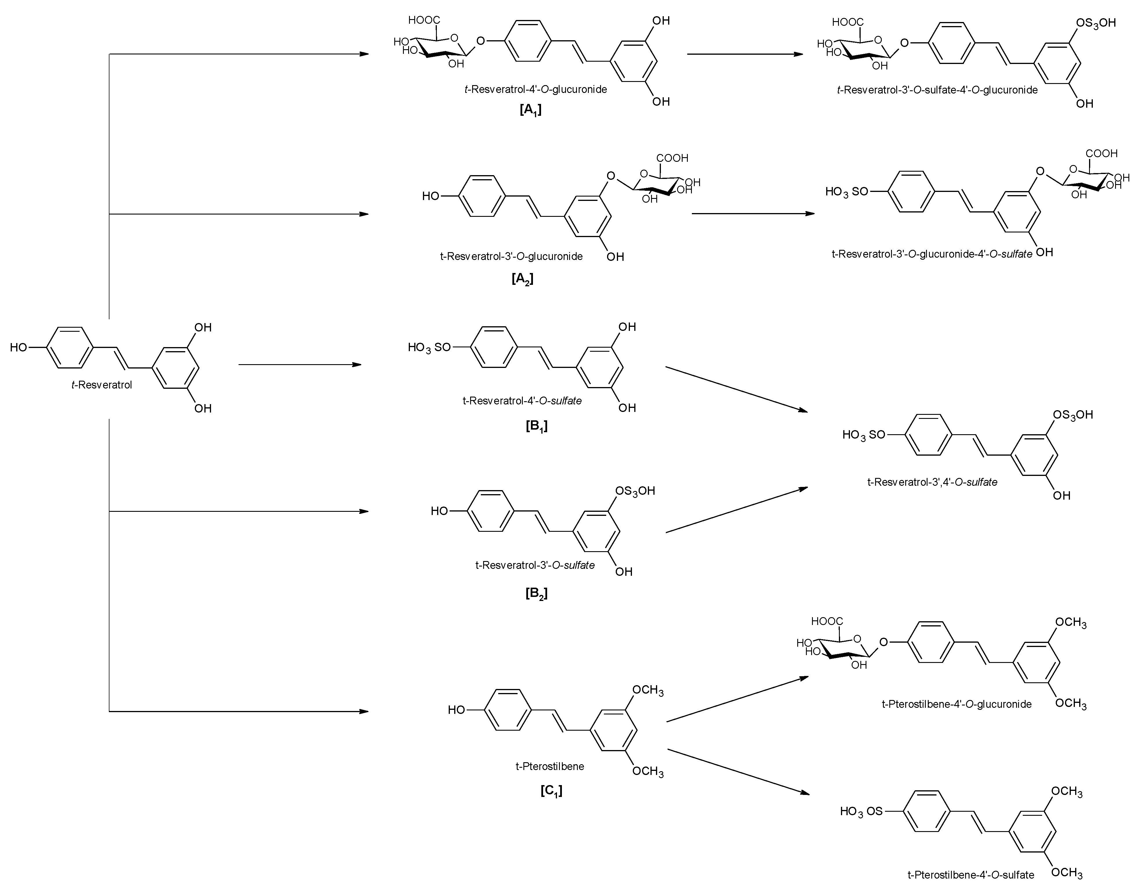 Ijms 21 02945 g002 Ijms 21 02945 g002