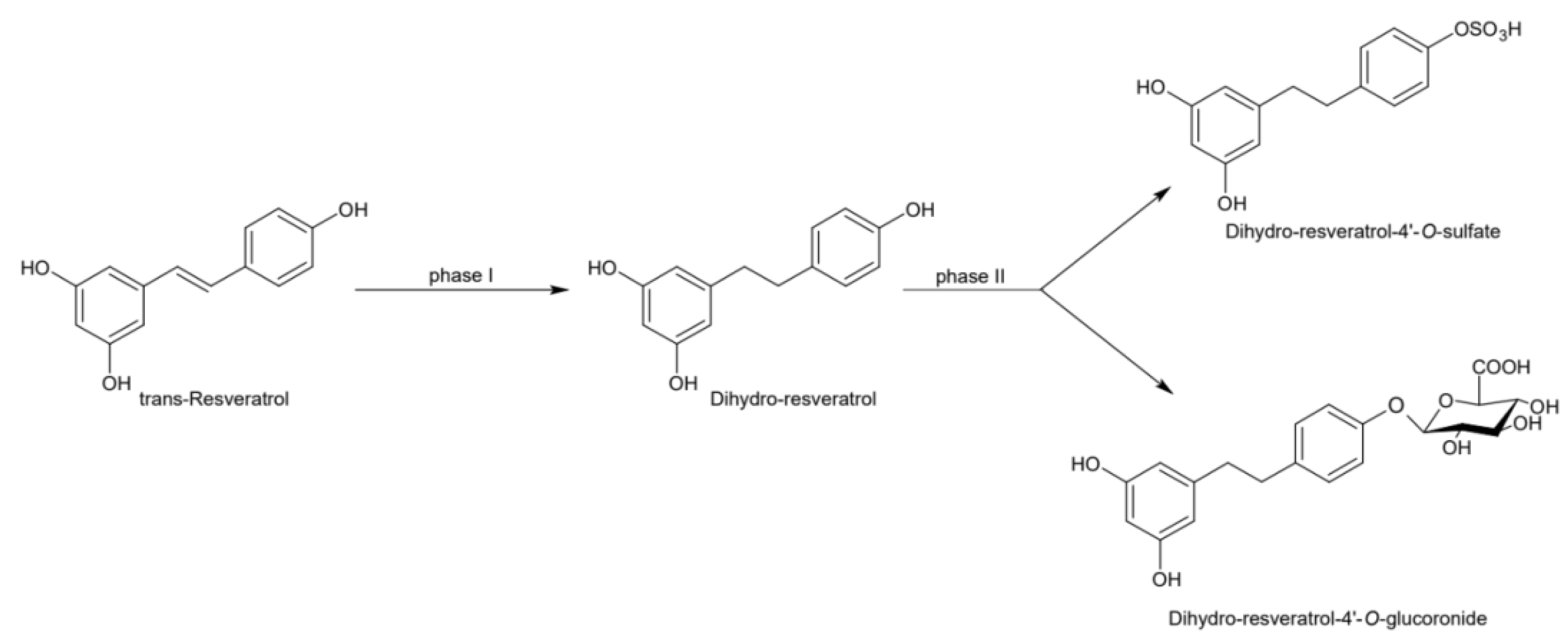 Ijms 21 02945 g005 Ijms 21 02945 g005