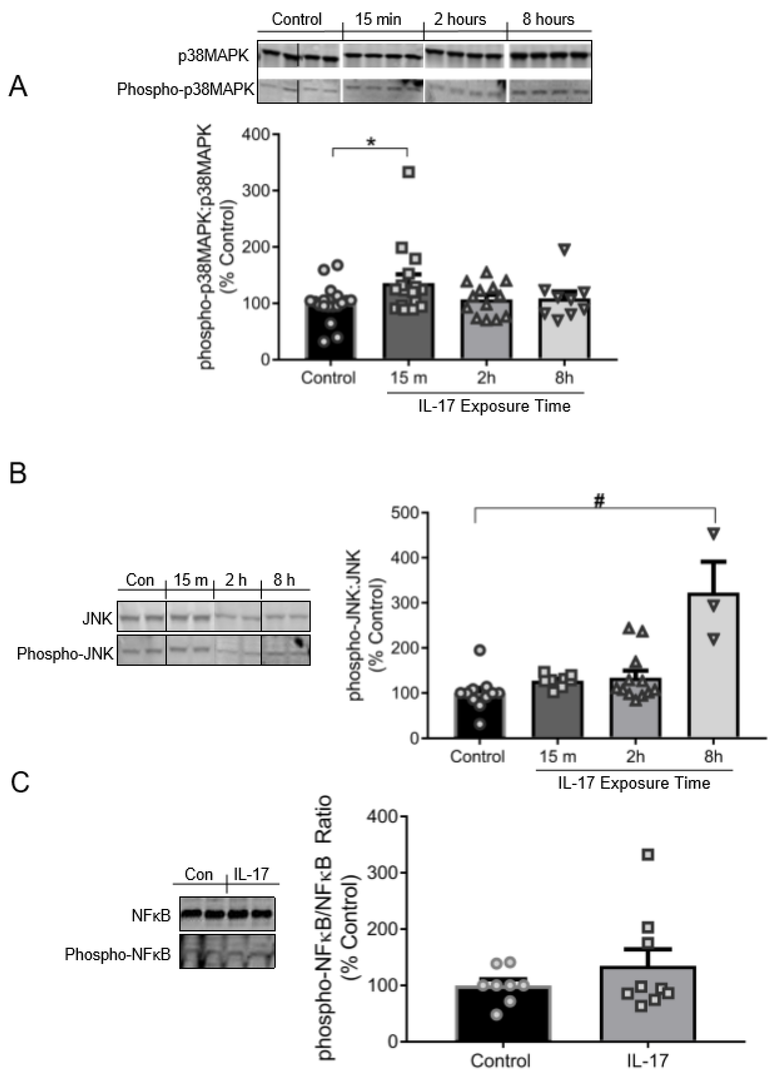 Ijms 21 02953 g003 Ijms 21 02953 g003