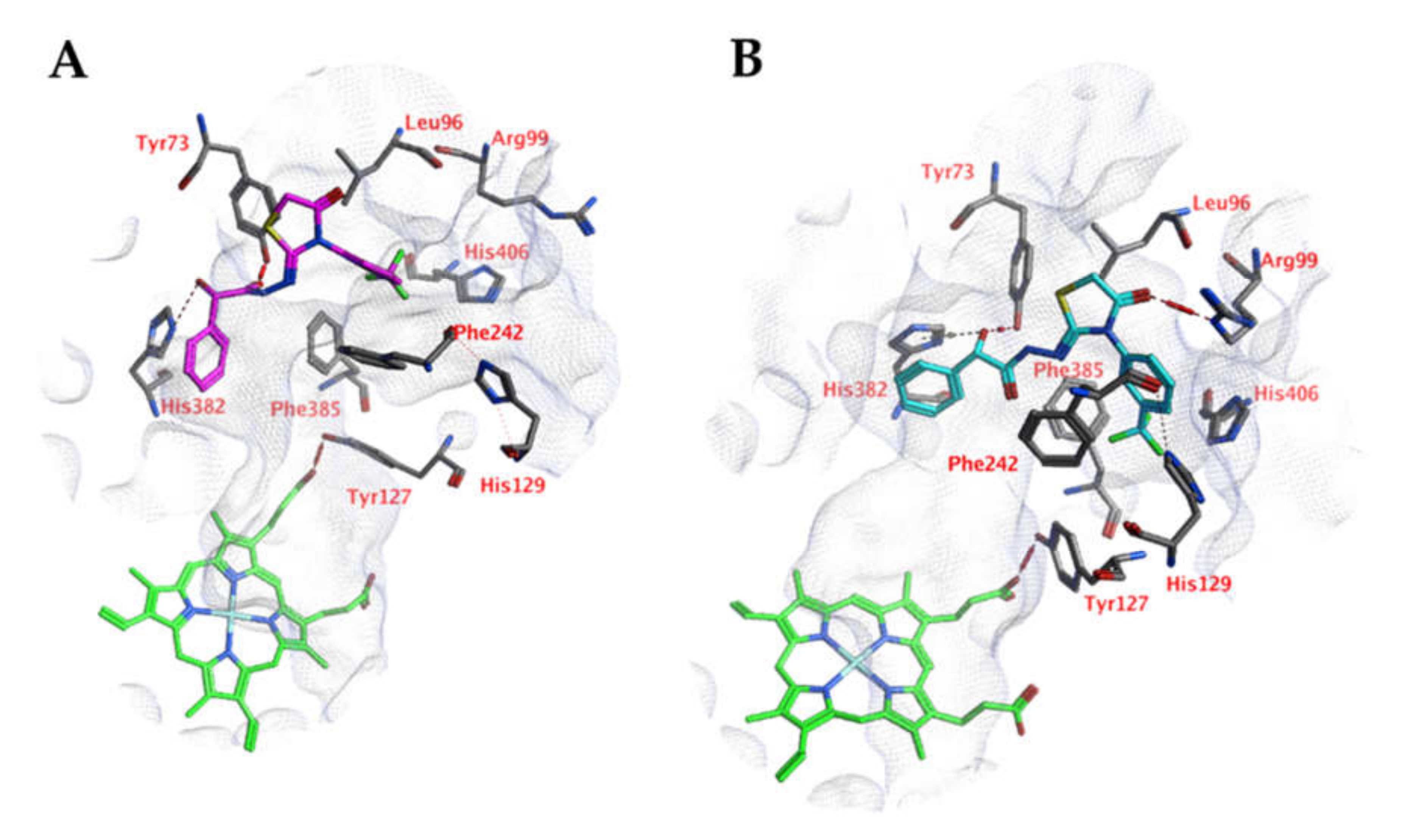 Ijms 21 02960 g002 Ijms 21 02960 g002