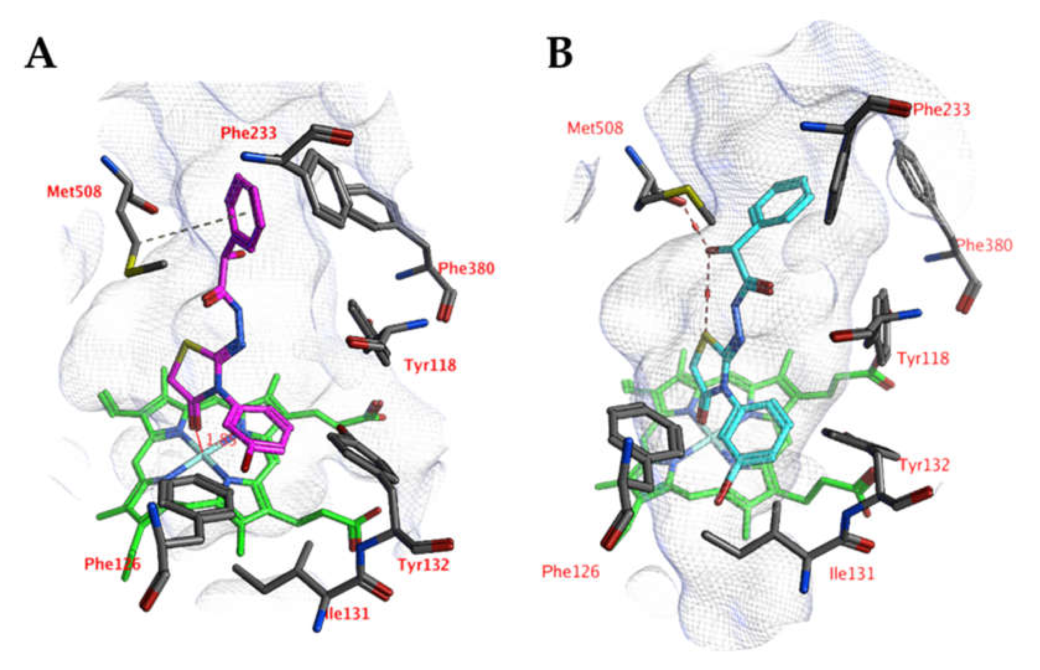 Ijms 21 02960 g004 Ijms 21 02960 g004
