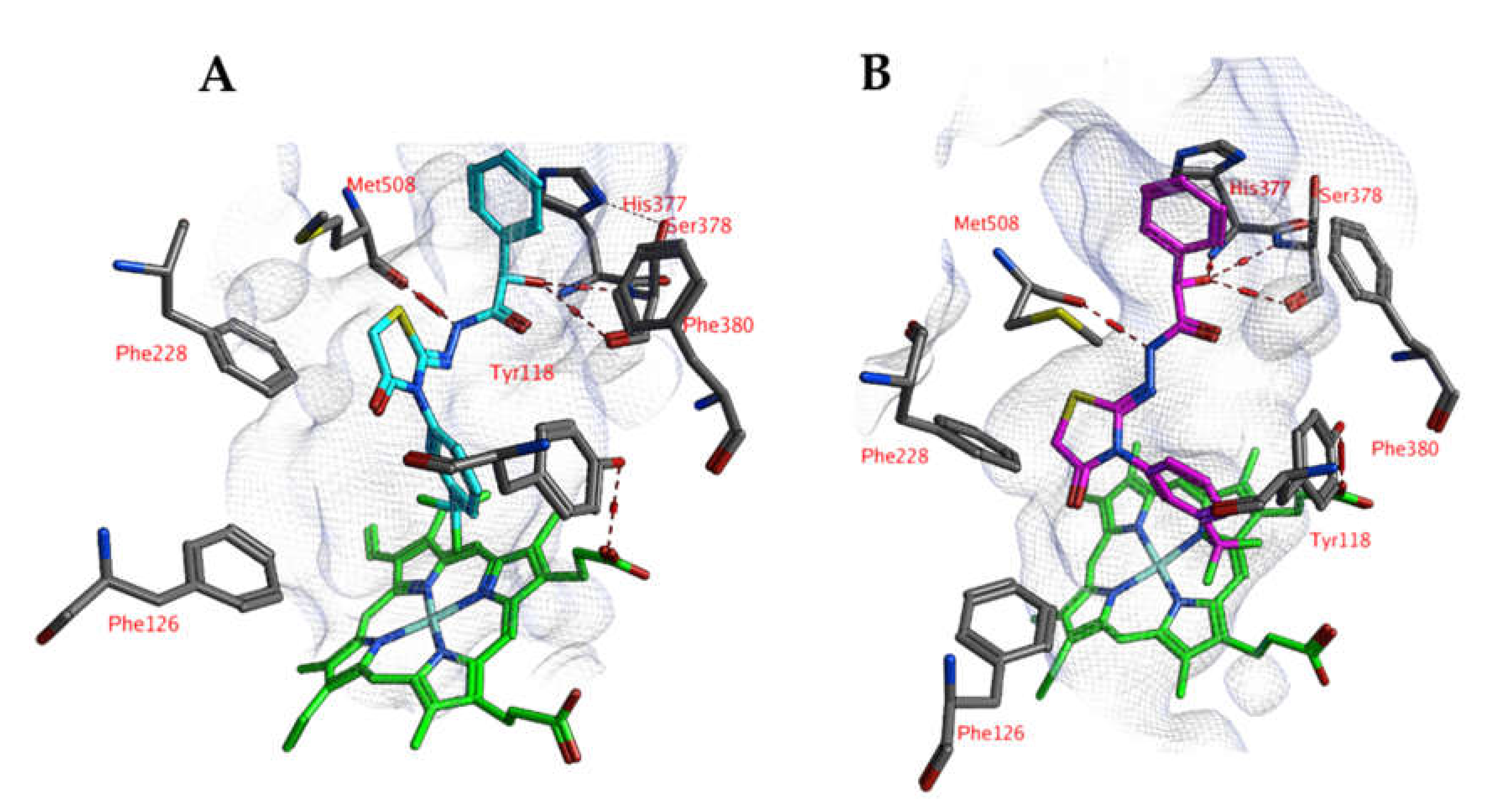 Ijms 21 02960 g006 Ijms 21 02960 g006