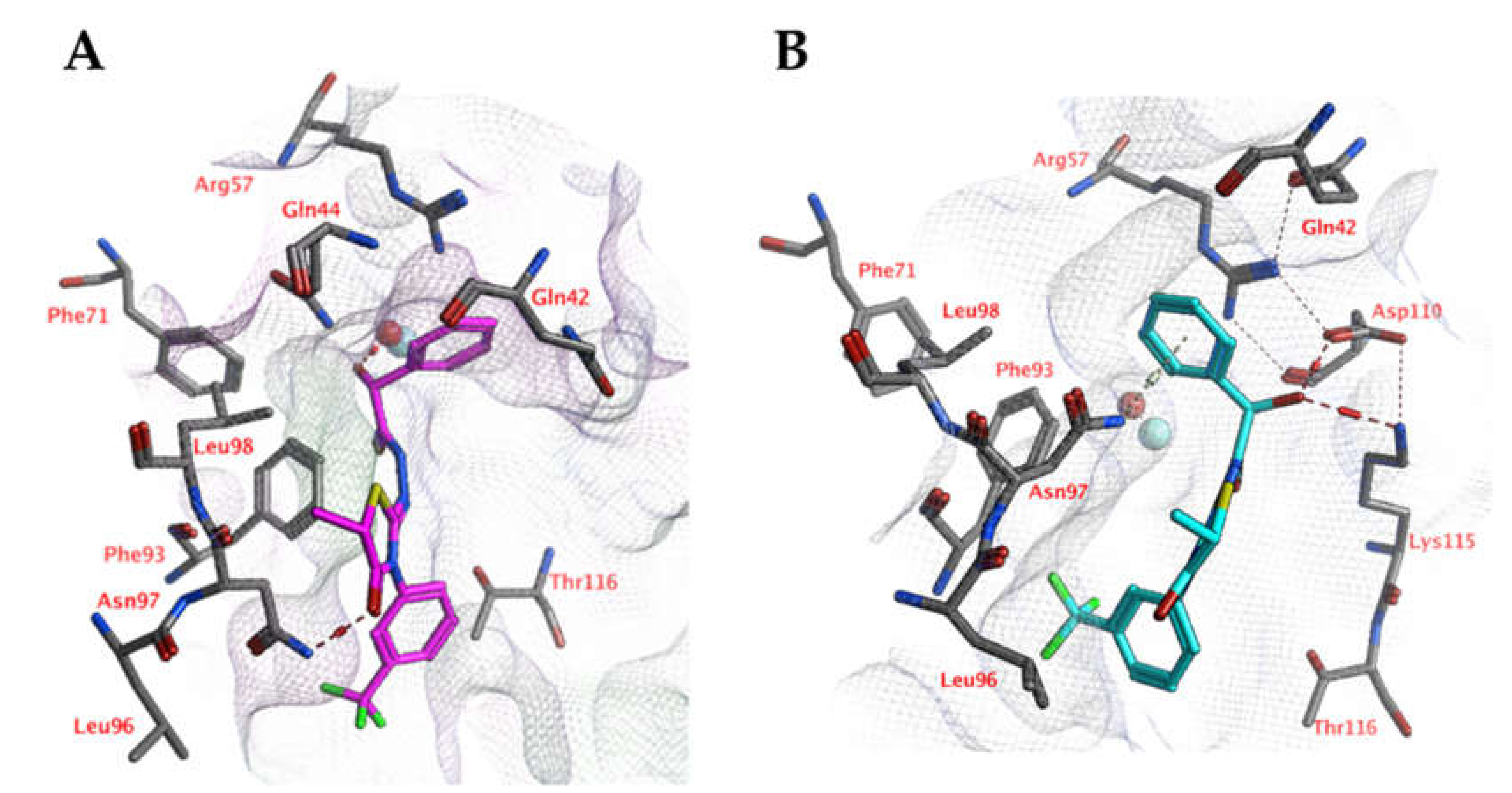 Ijms 21 02960 g008 Ijms 21 02960 g008