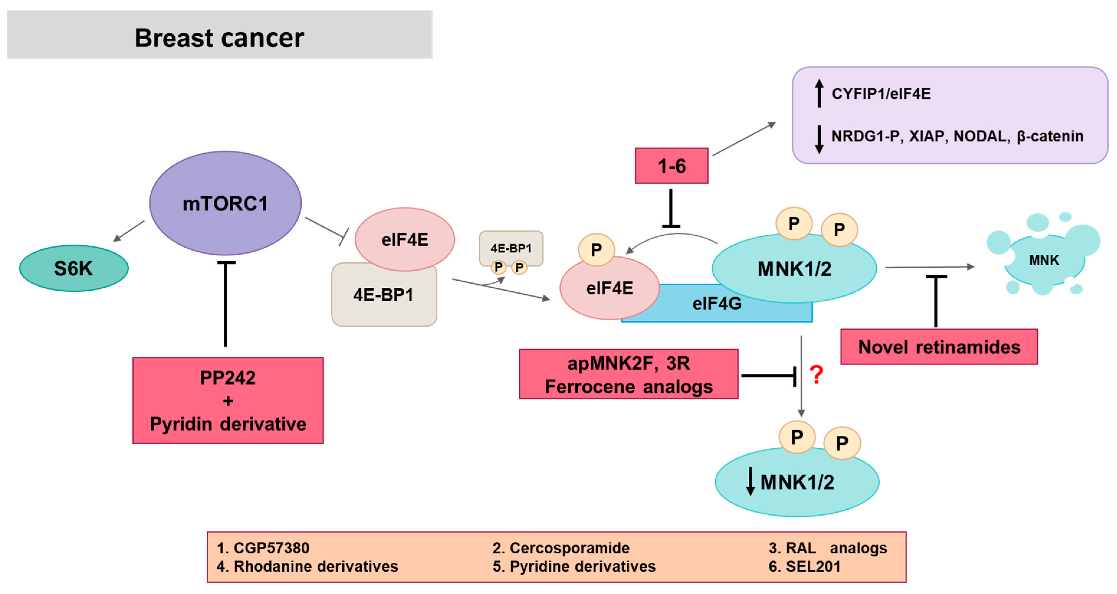 Ijms 21 02967 g005 Ijms 21 02967 g005