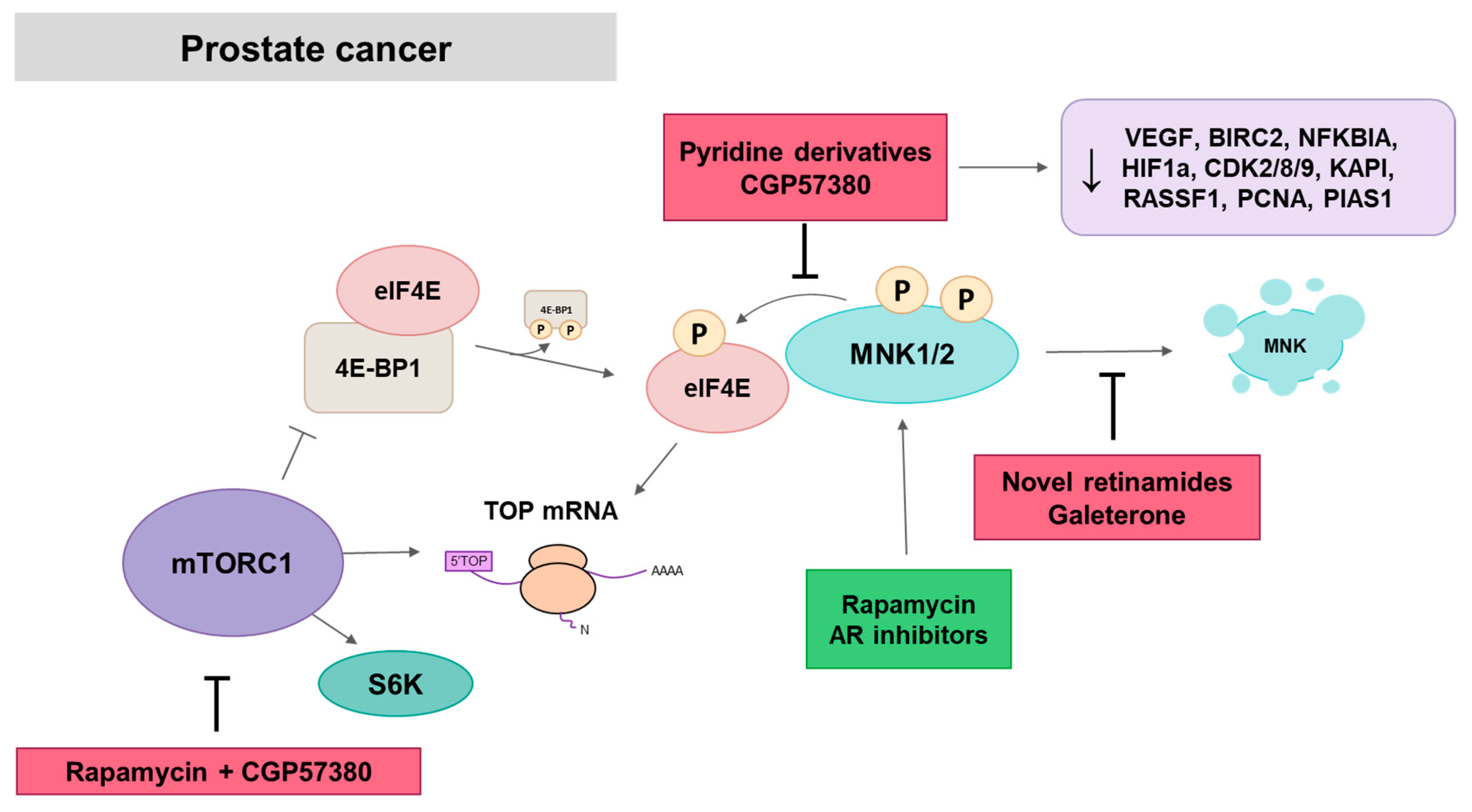 Ijms 21 02967 g007 Ijms 21 02967 g007