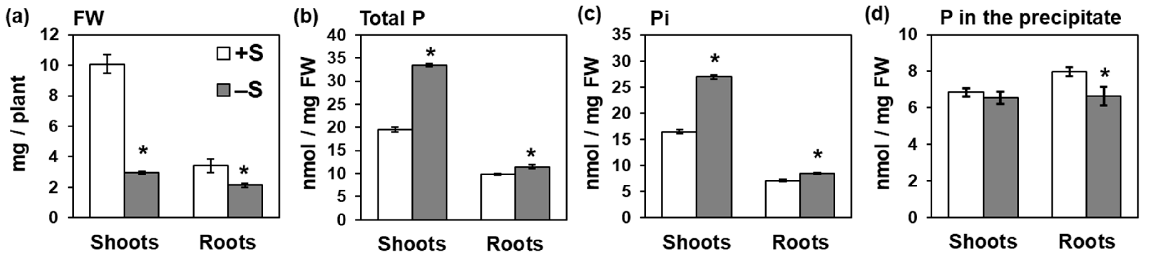 Ijms 21 02971 g001 Ijms 21 02971 g001