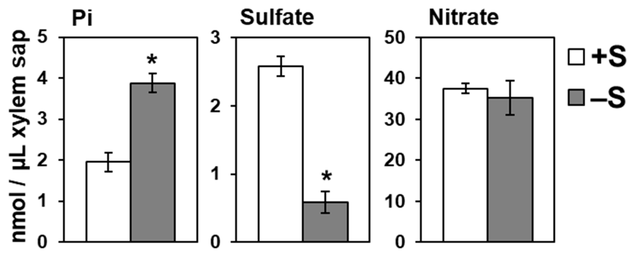 Ijms 21 02971 g003 Ijms 21 02971 g003