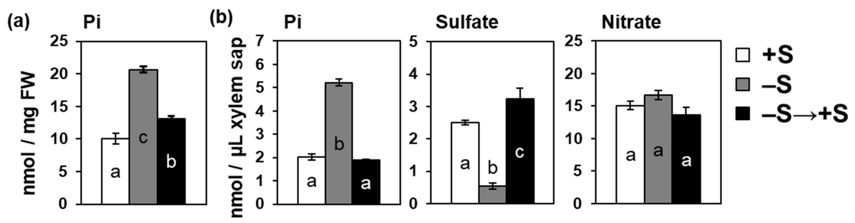 Ijms 21 02971 g005 Ijms 21 02971 g005