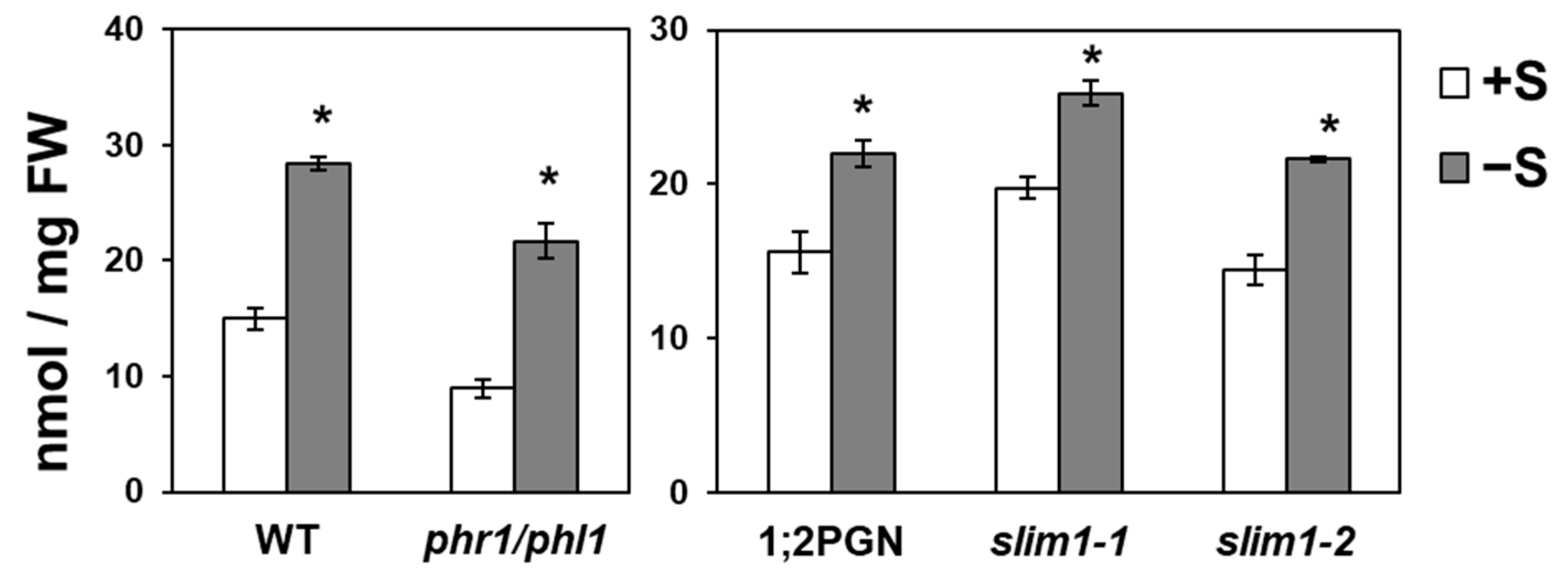 Ijms 21 02971 g006 Ijms 21 02971 g006