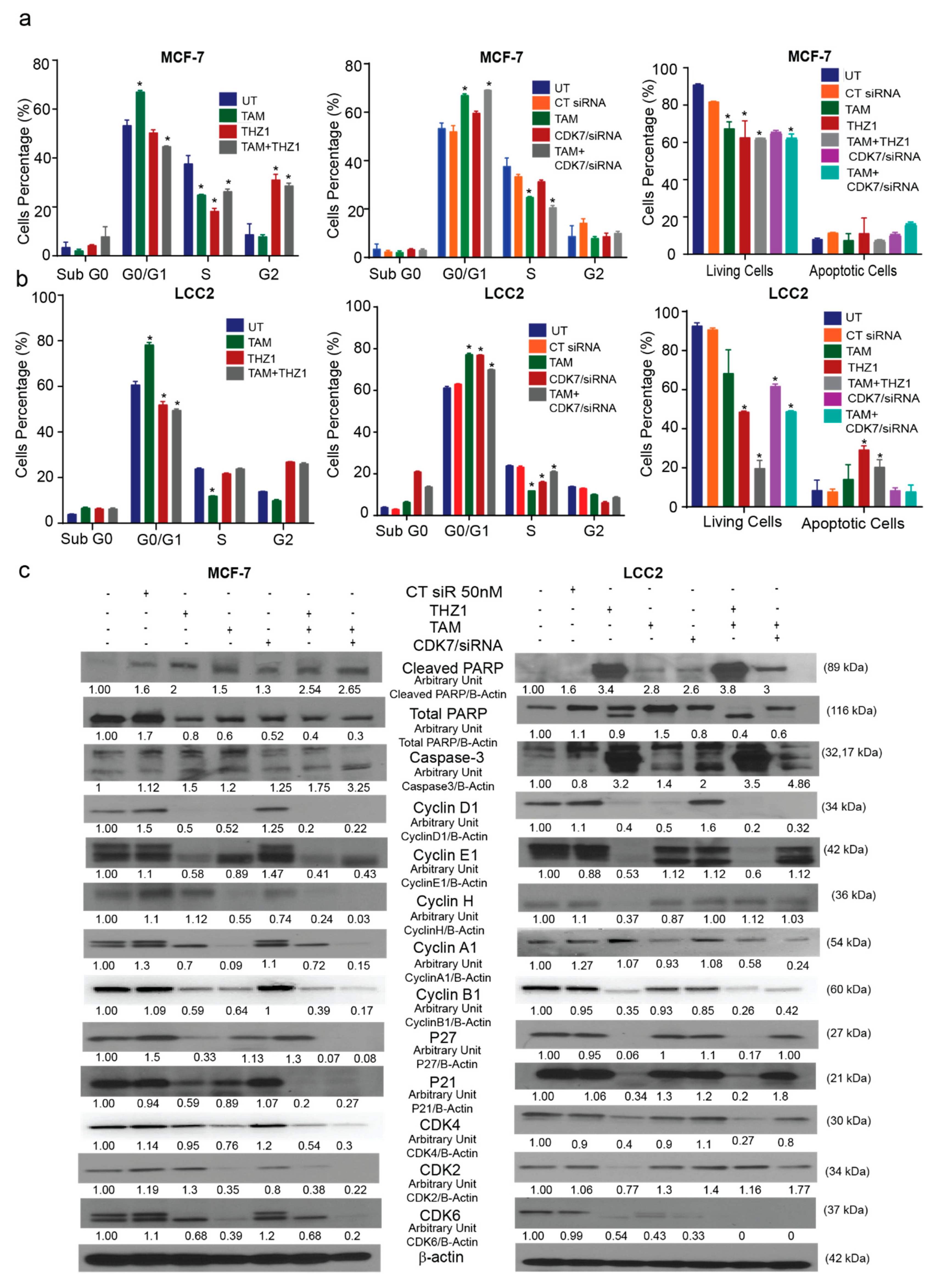 Ijms 21 02974 g004 Ijms 21 02974 g004