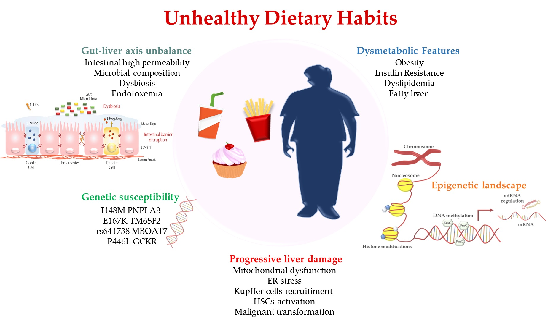 Centrul anti-îmbătrânire metabolic din Louisiana recenzii