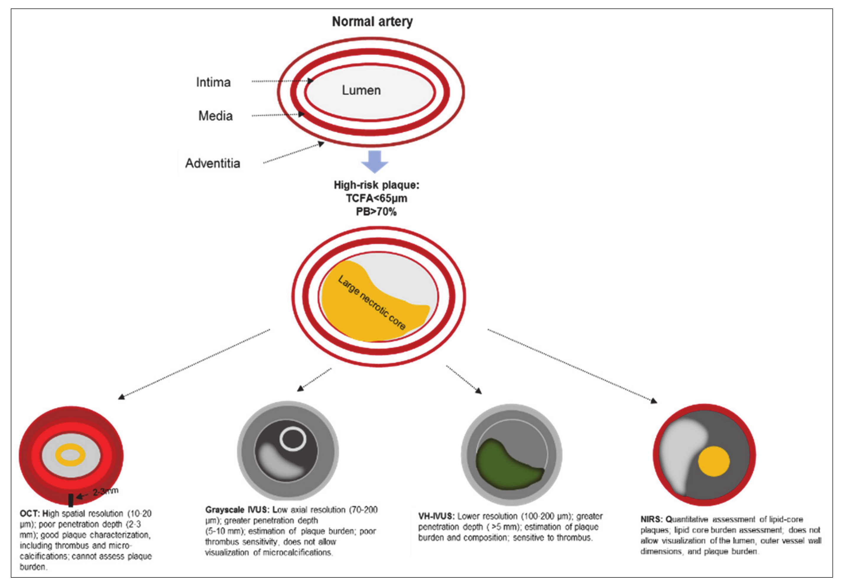 Ijms 21 02992 g001 Ijms 21 02992 g001