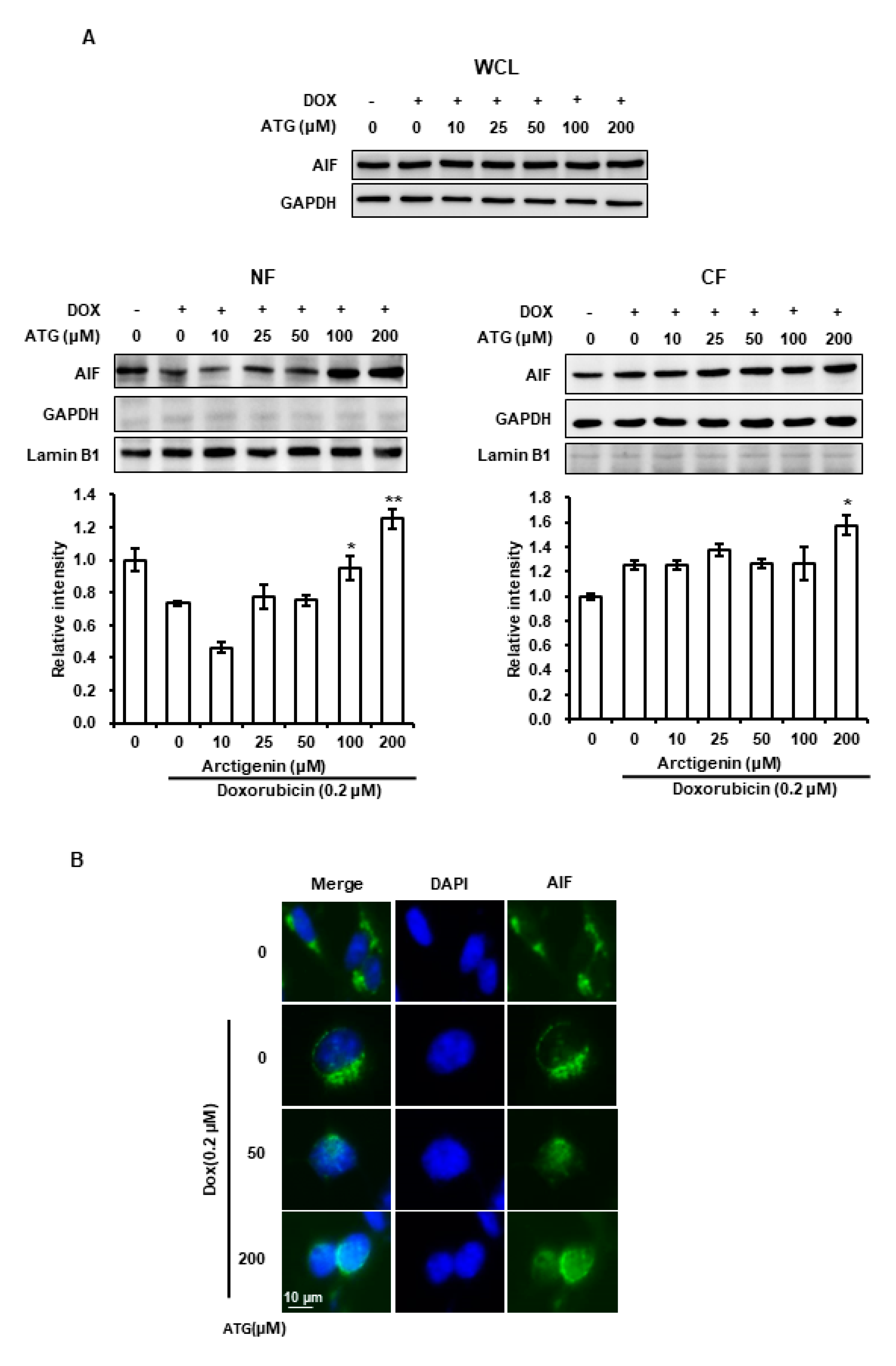 Ijms 21 02997 g005