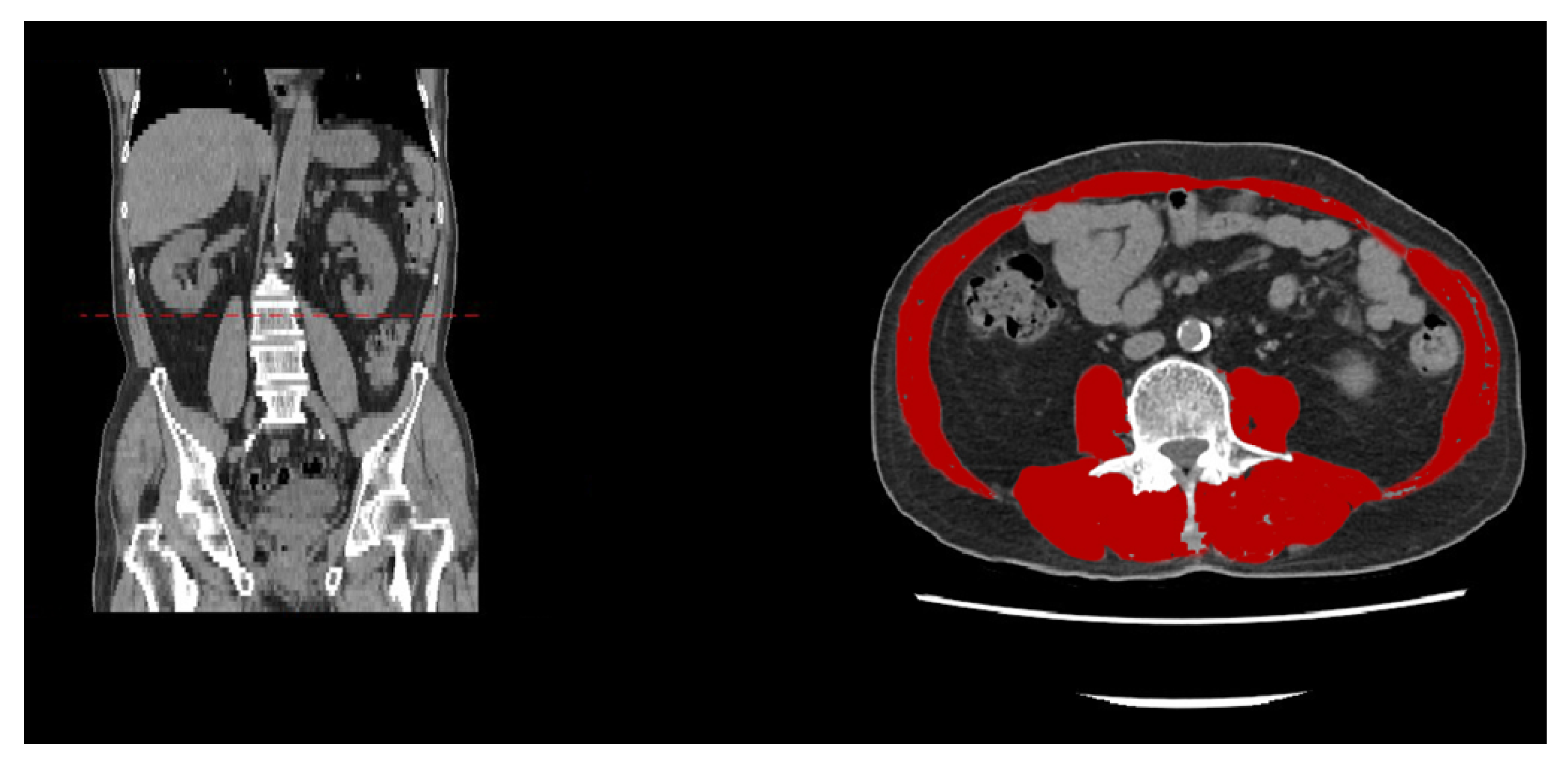 Ijms 21 03010 g002 Ijms 21 03010 g002