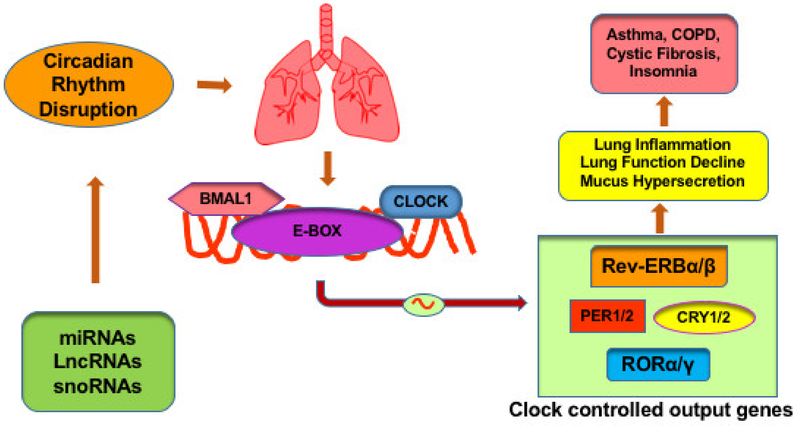 Ijms 21 03013 g001 Ijms 21 03013 g001