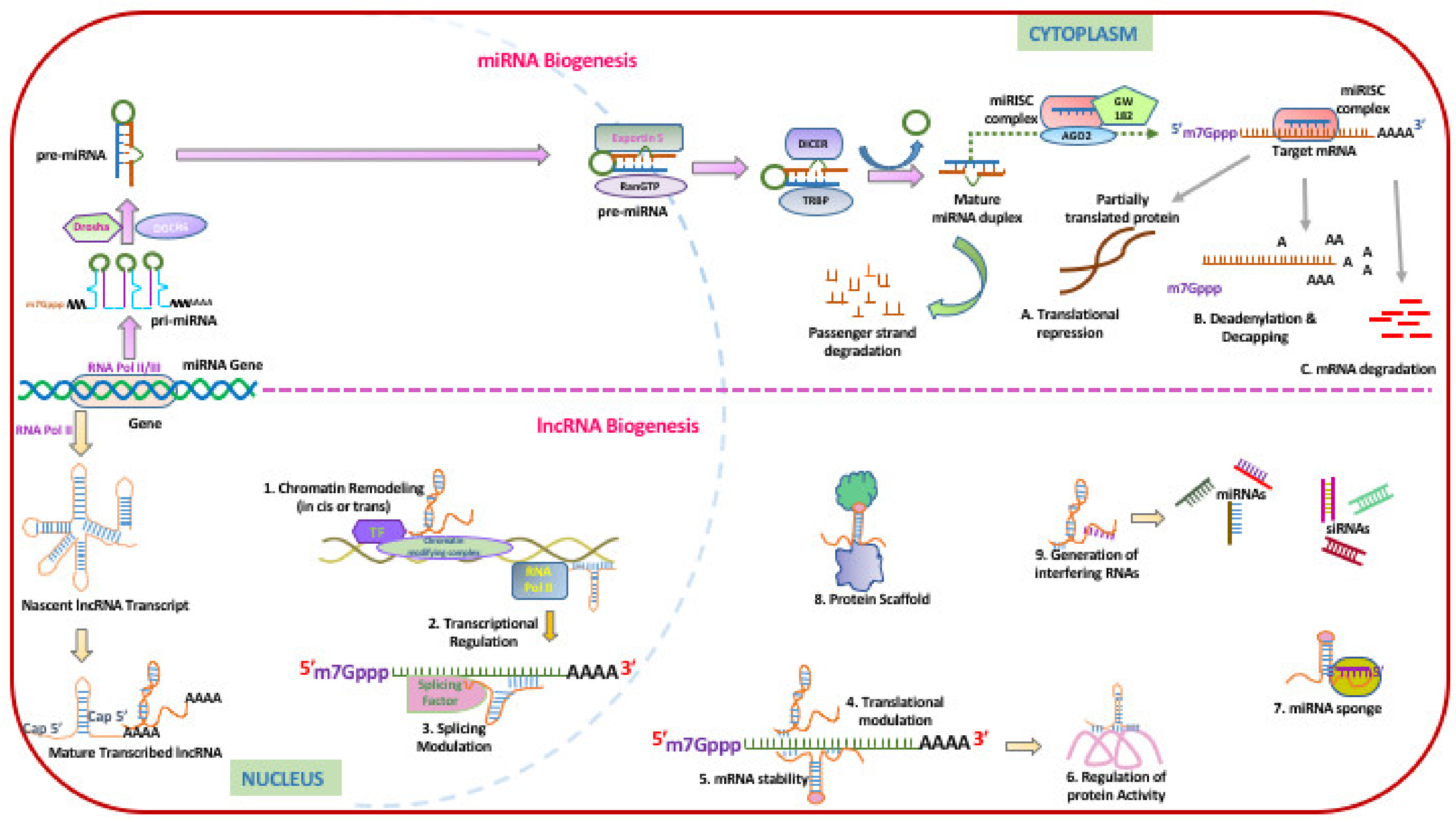 Ijms 21 03013 g002 Ijms 21 03013 g002