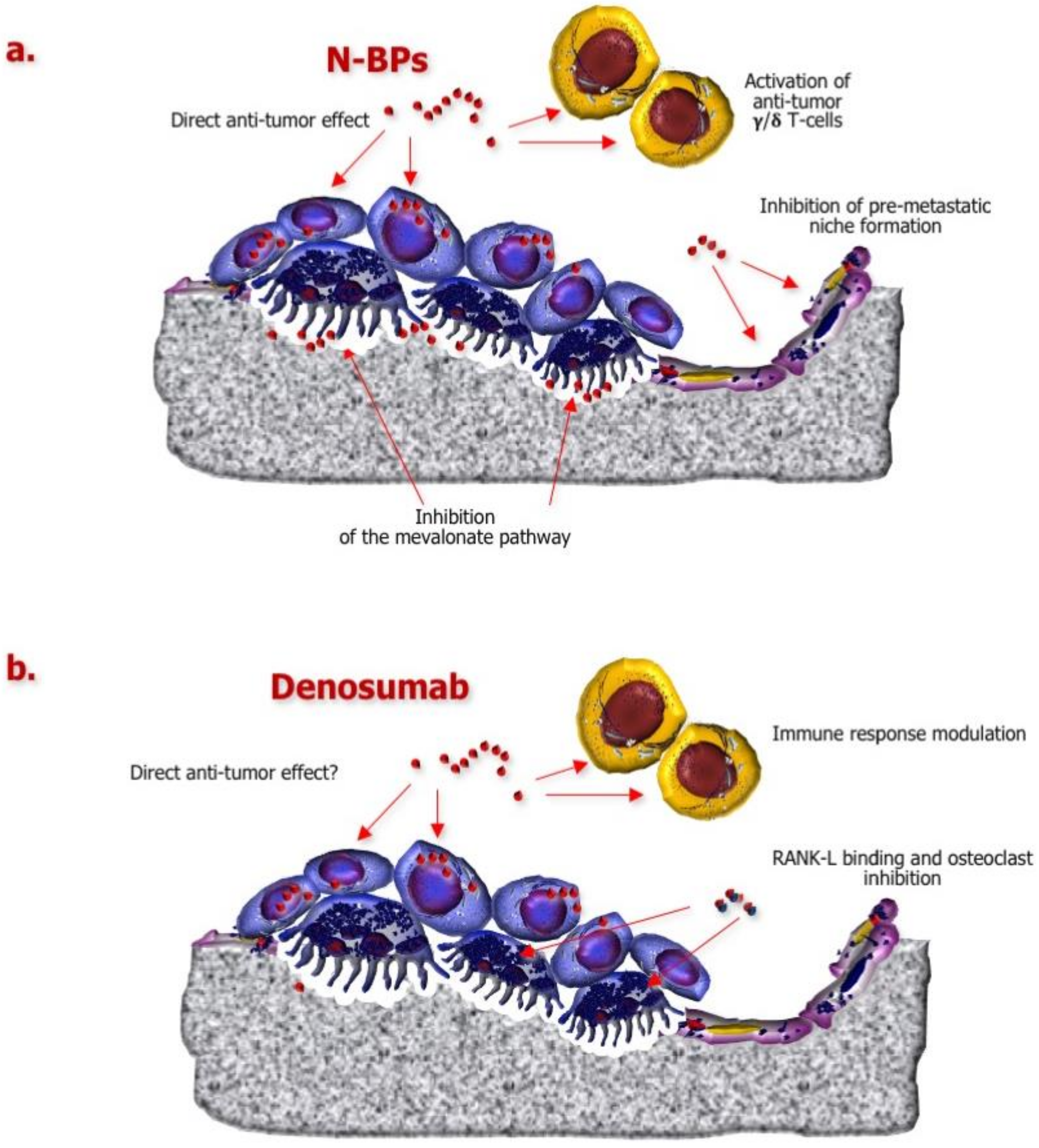 Ijms 21 03022 g003 Ijms 21 03022 g003
