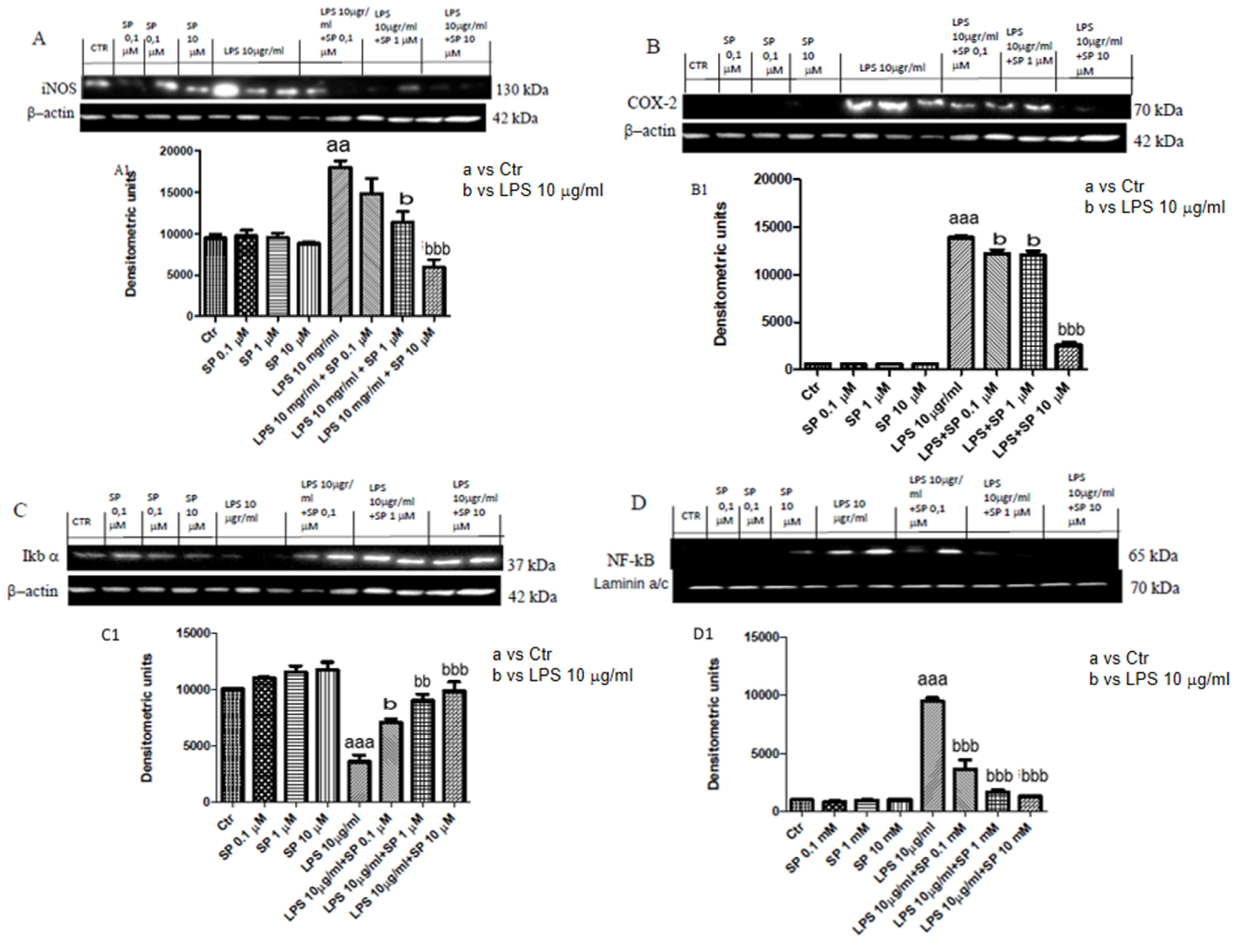 Ijms 21 03026 g002 Ijms 21 03026 g002