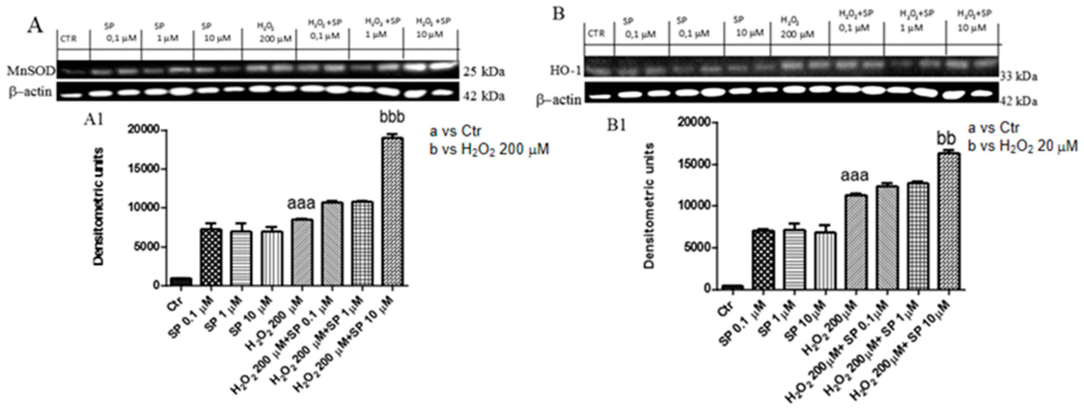 Ijms 21 03026 g005 Ijms 21 03026 g005