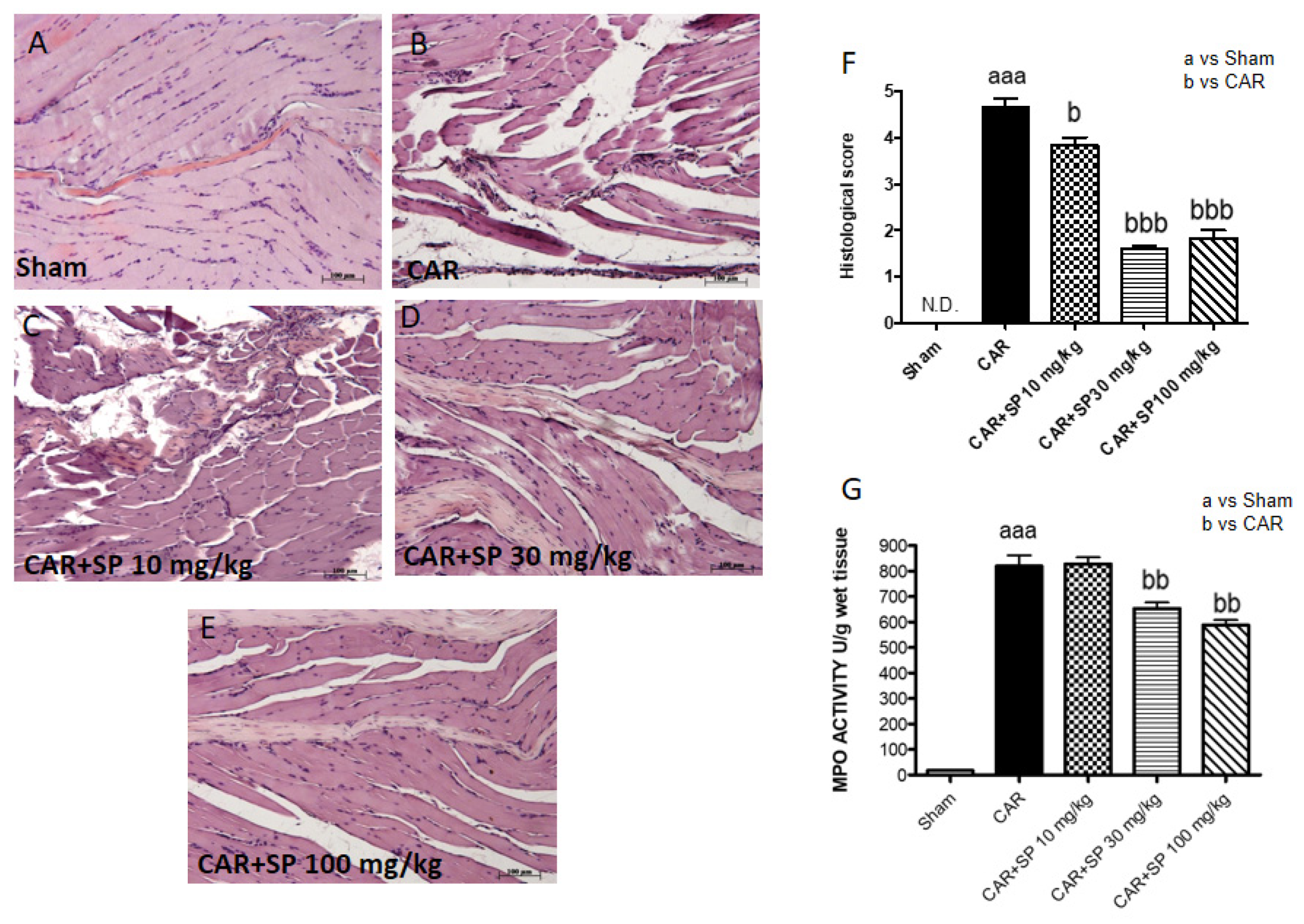 Ijms 21 03026 g007 Ijms 21 03026 g007