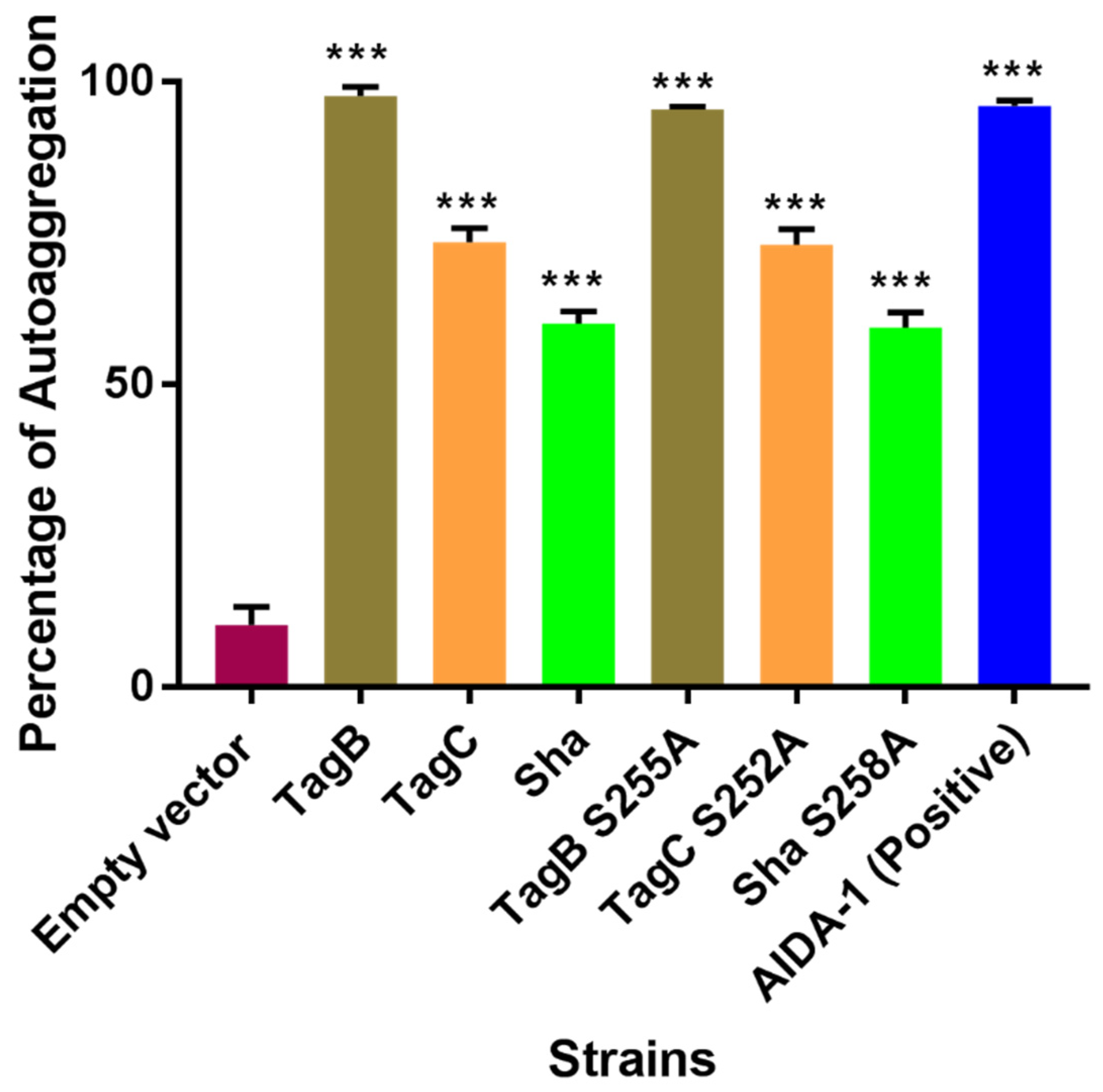 Ijms 21 03047 g002 Ijms 21 03047 g002