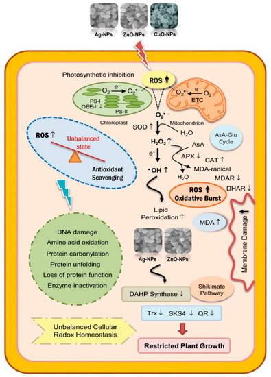 Angewandte Chemie International Edition: Vol 59, No 39