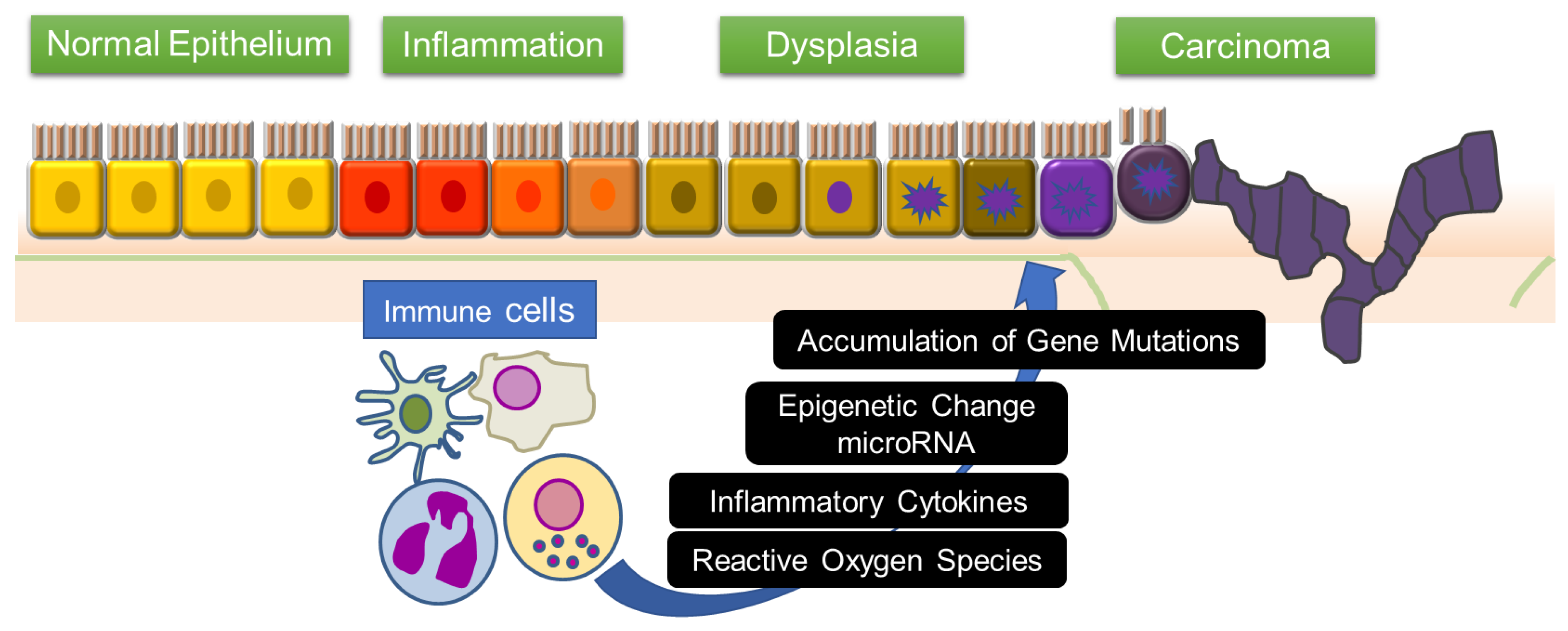 Ijms 21 03062 g001 Ijms 21 03062 g001