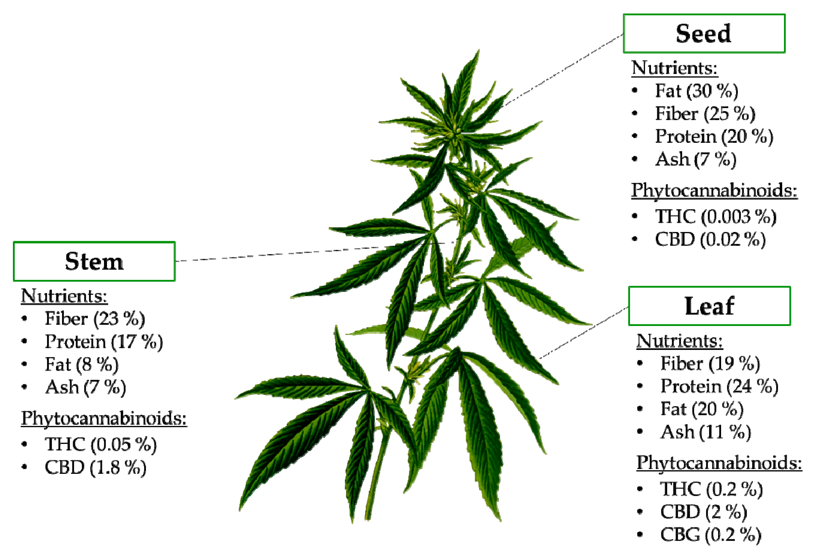 Understanding Anandamide and Its Relationship to THC and CBD - RQS Blog