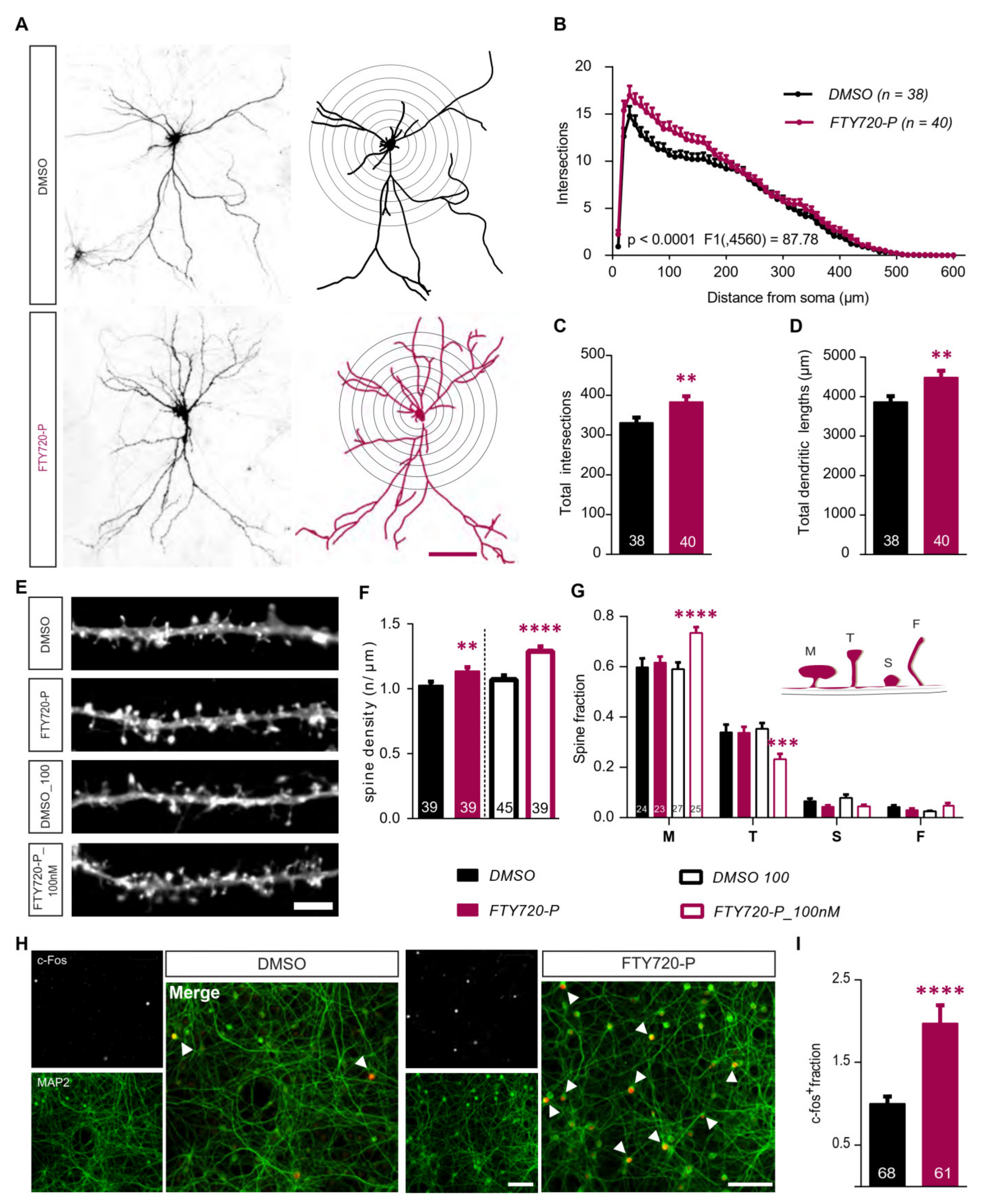 Ijms 21 03079 g001 Ijms 21 03079 g001