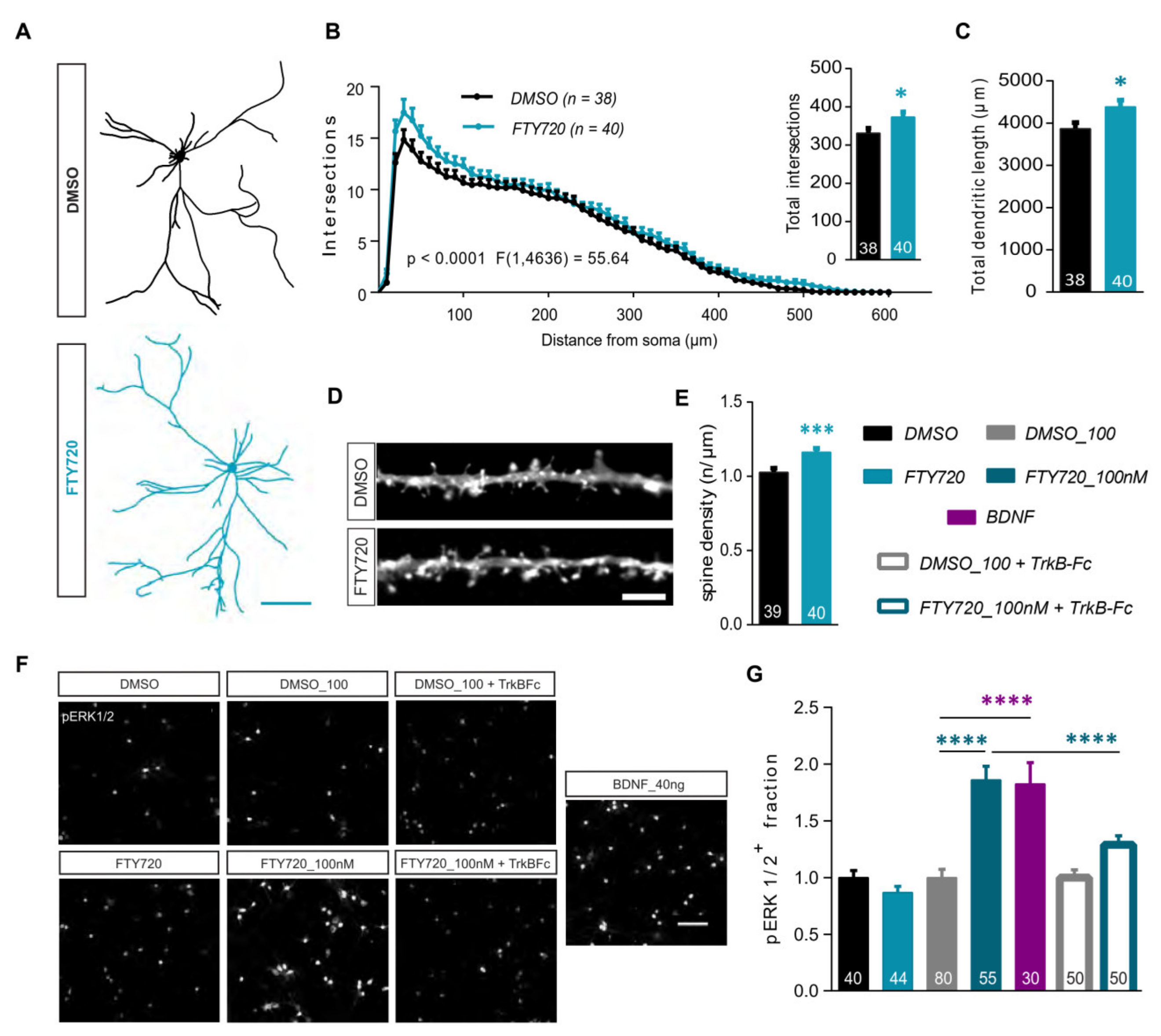 Ijms 21 03079 g003 Ijms 21 03079 g003