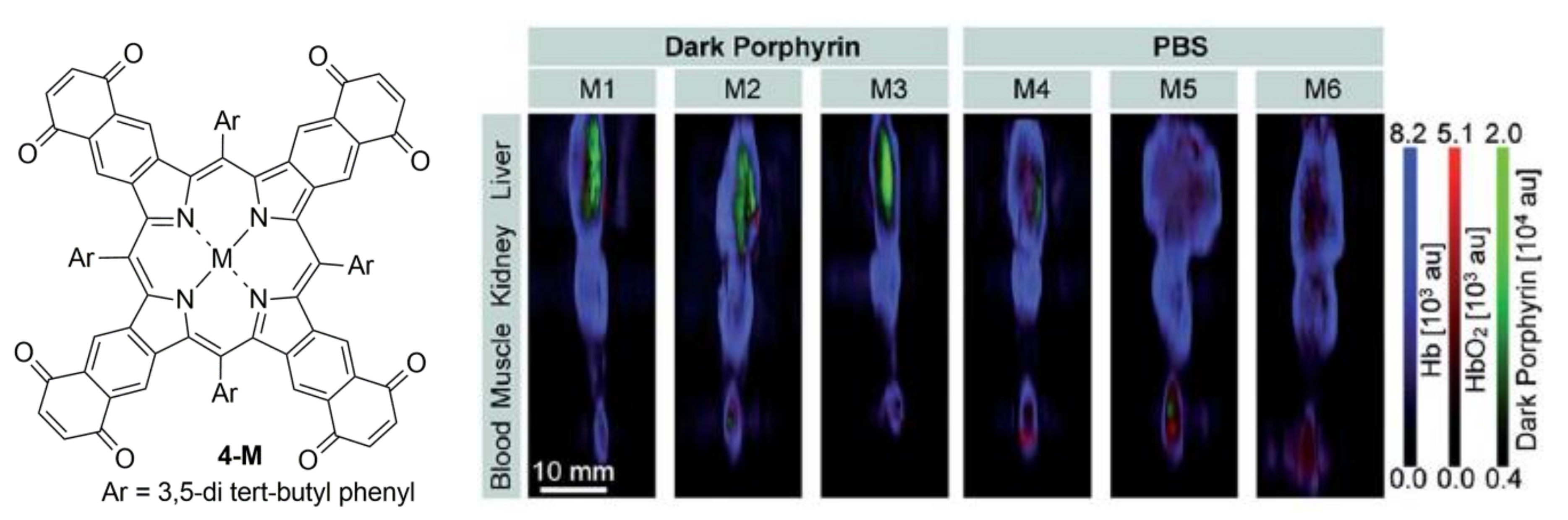 Ijms 21 03082 g005 Ijms 21 03082 g005