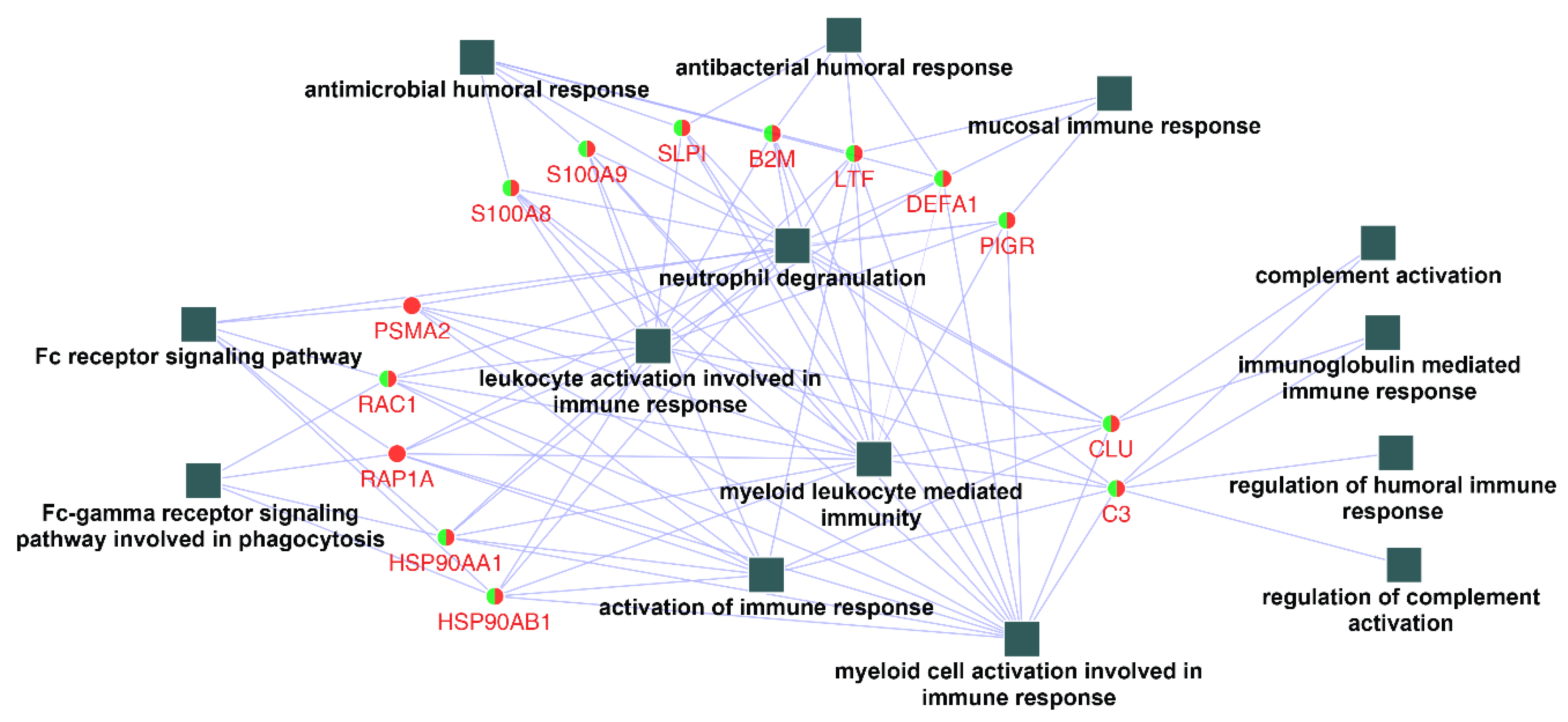Ijms 21 03083 g004 Ijms 21 03083 g004