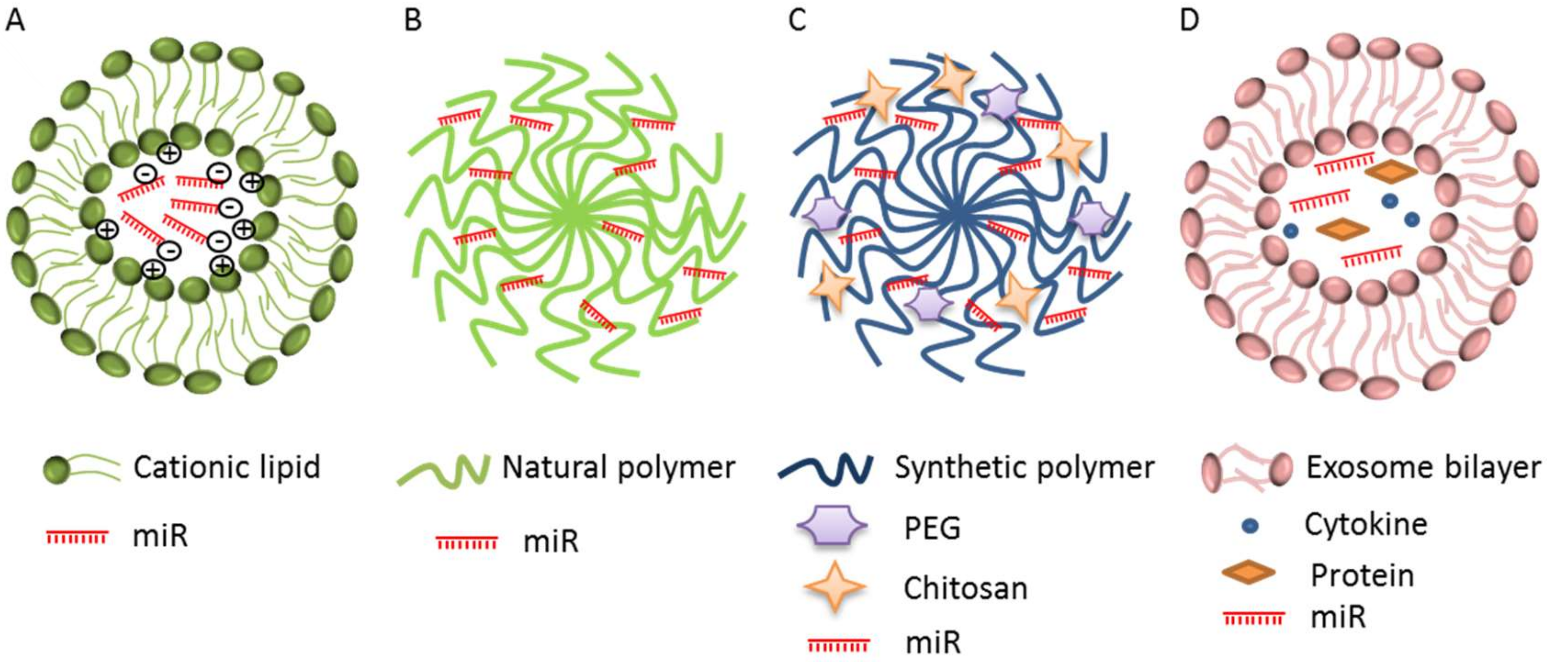 Ijms 21 03084 g002 Ijms 21 03084 g002