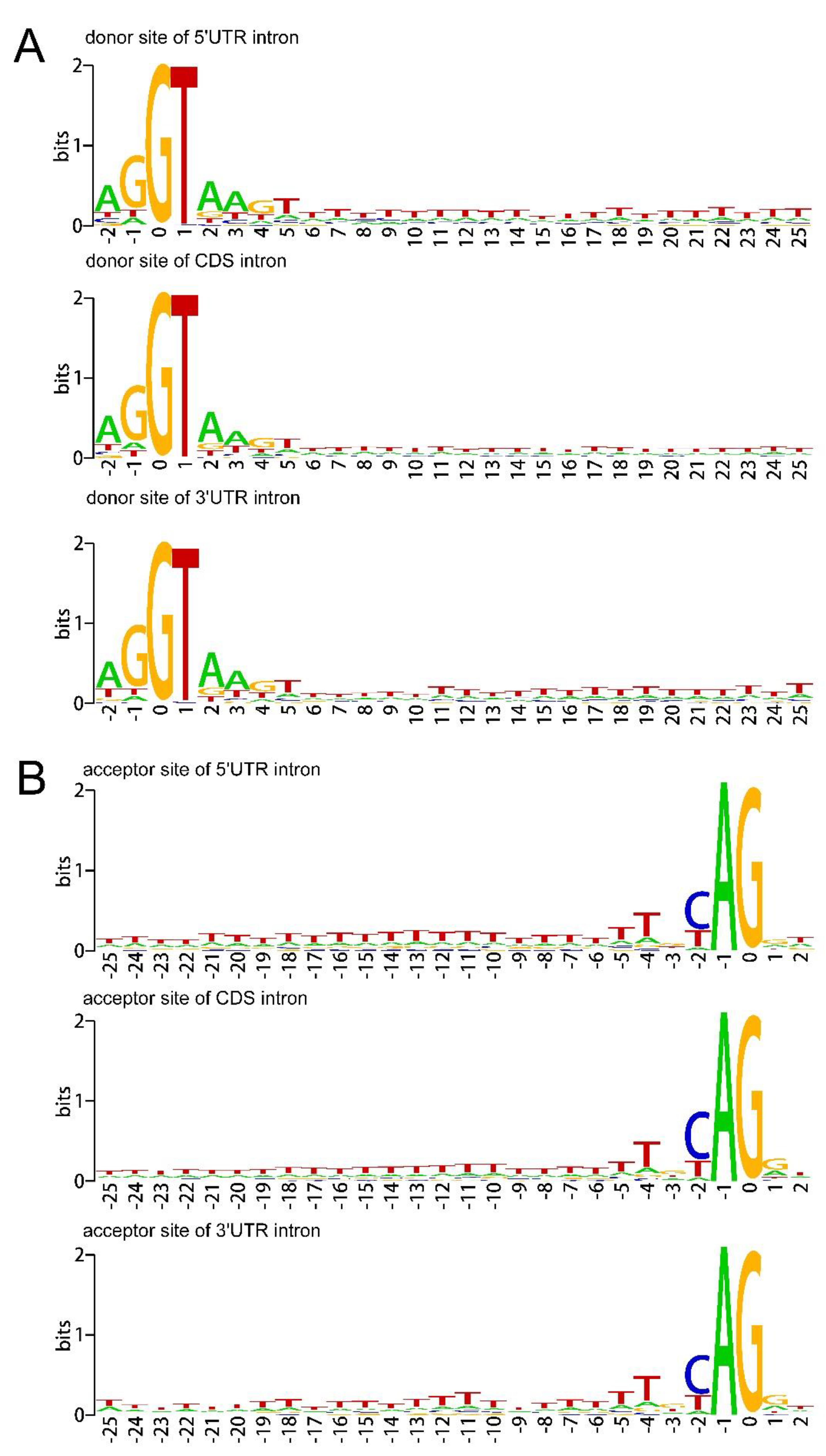 Ijms 21 03088 g003 Ijms 21 03088 g003