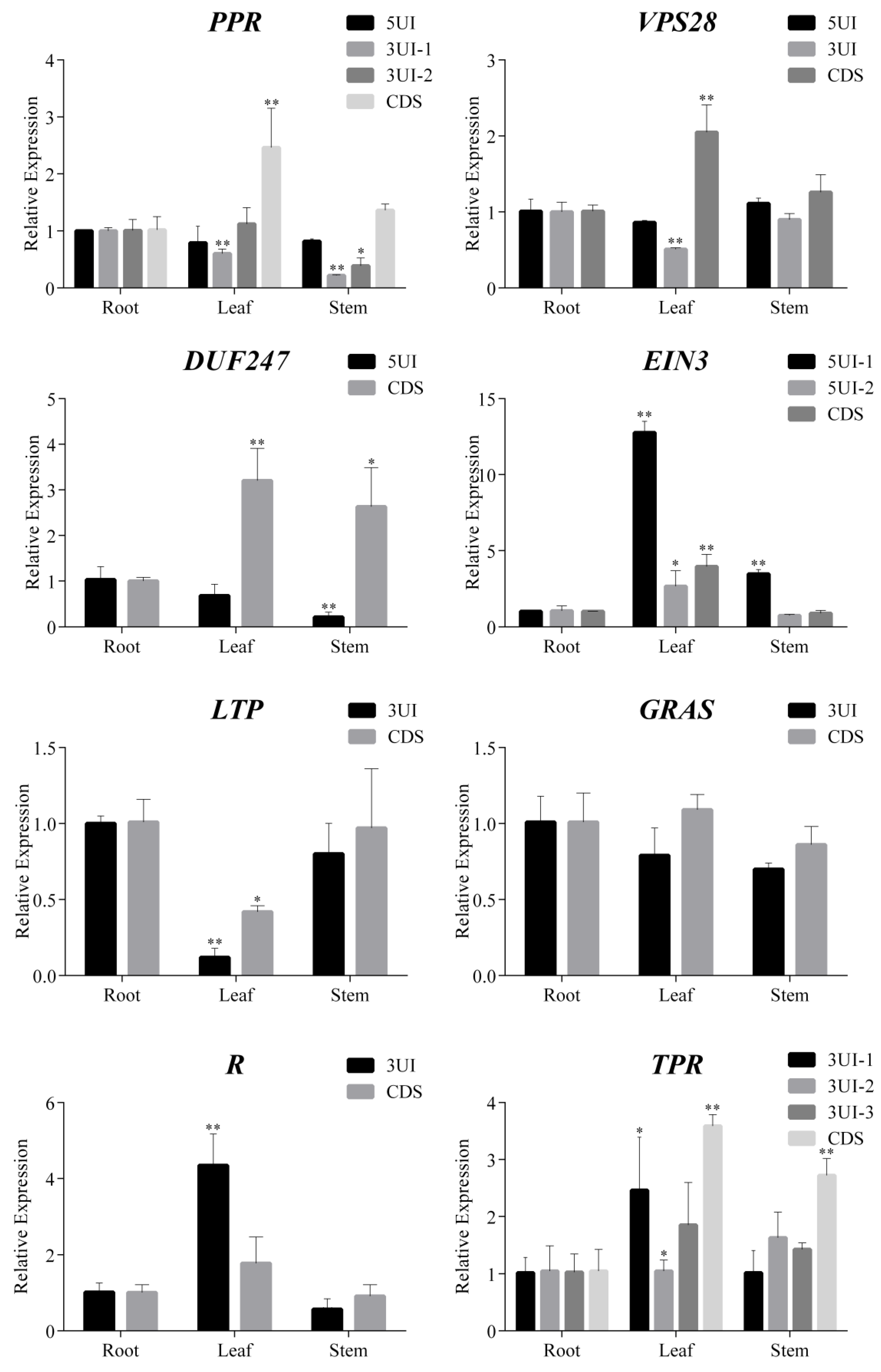 Ijms 21 03088 g005 Ijms 21 03088 g005