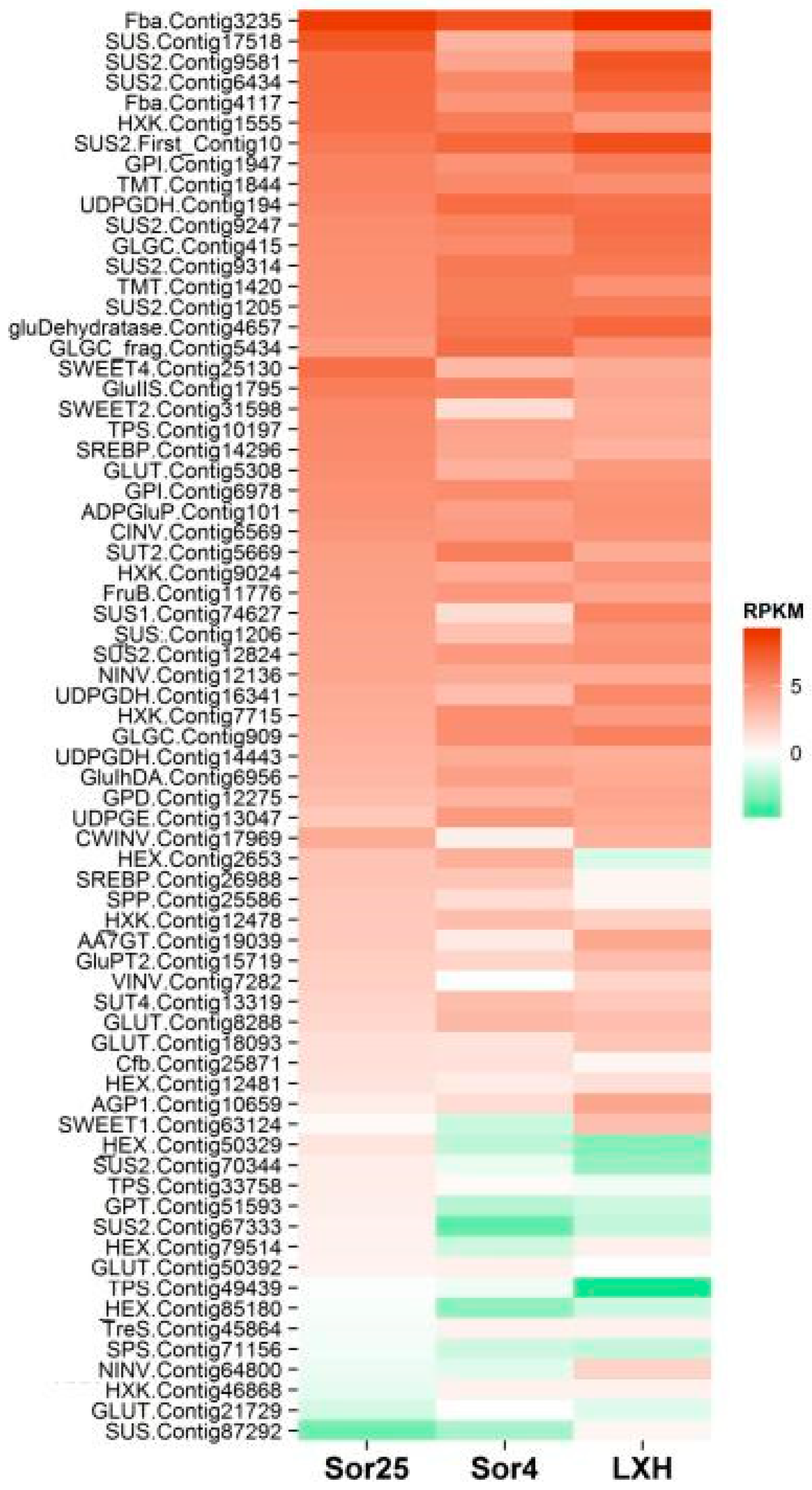 Ijms 21 03092 g001 Ijms 21 03092 g001